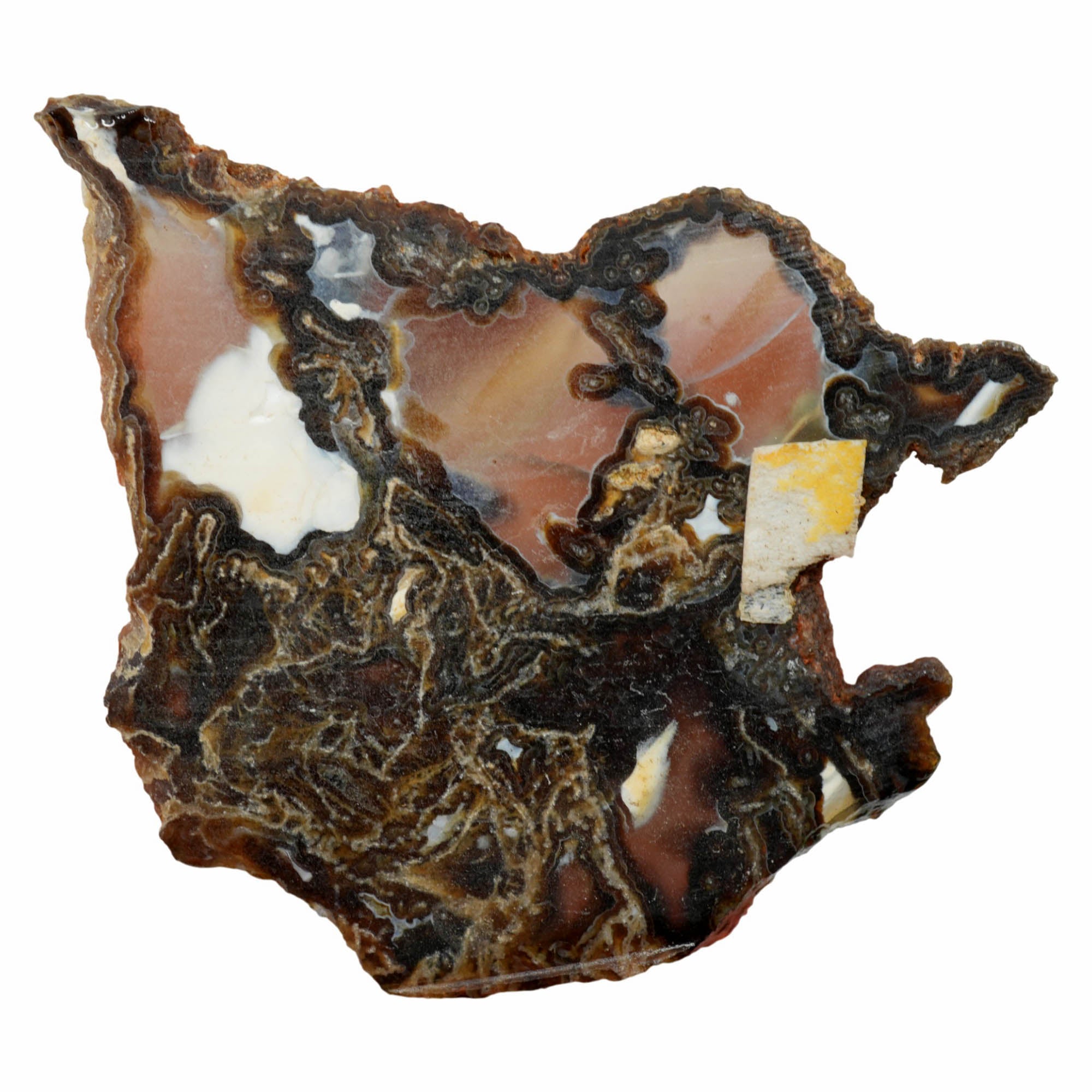 Mystery Moss Agate Slab Dry - Black Moss Pattern Antique #3993-5