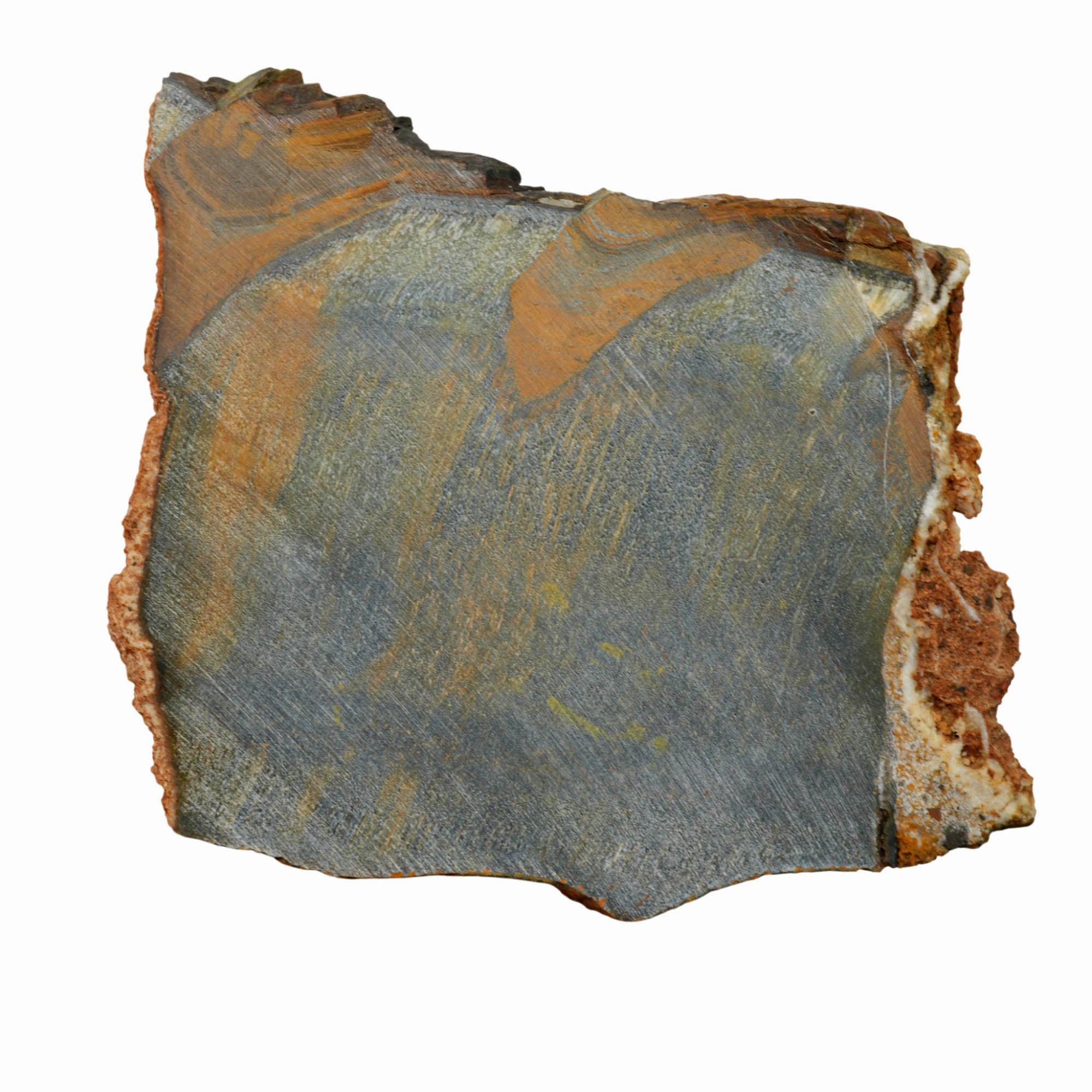 Natural Hawkeye Tiger Eye Slab – Blue Chatoyant Flash Effect! #3994-Photo5