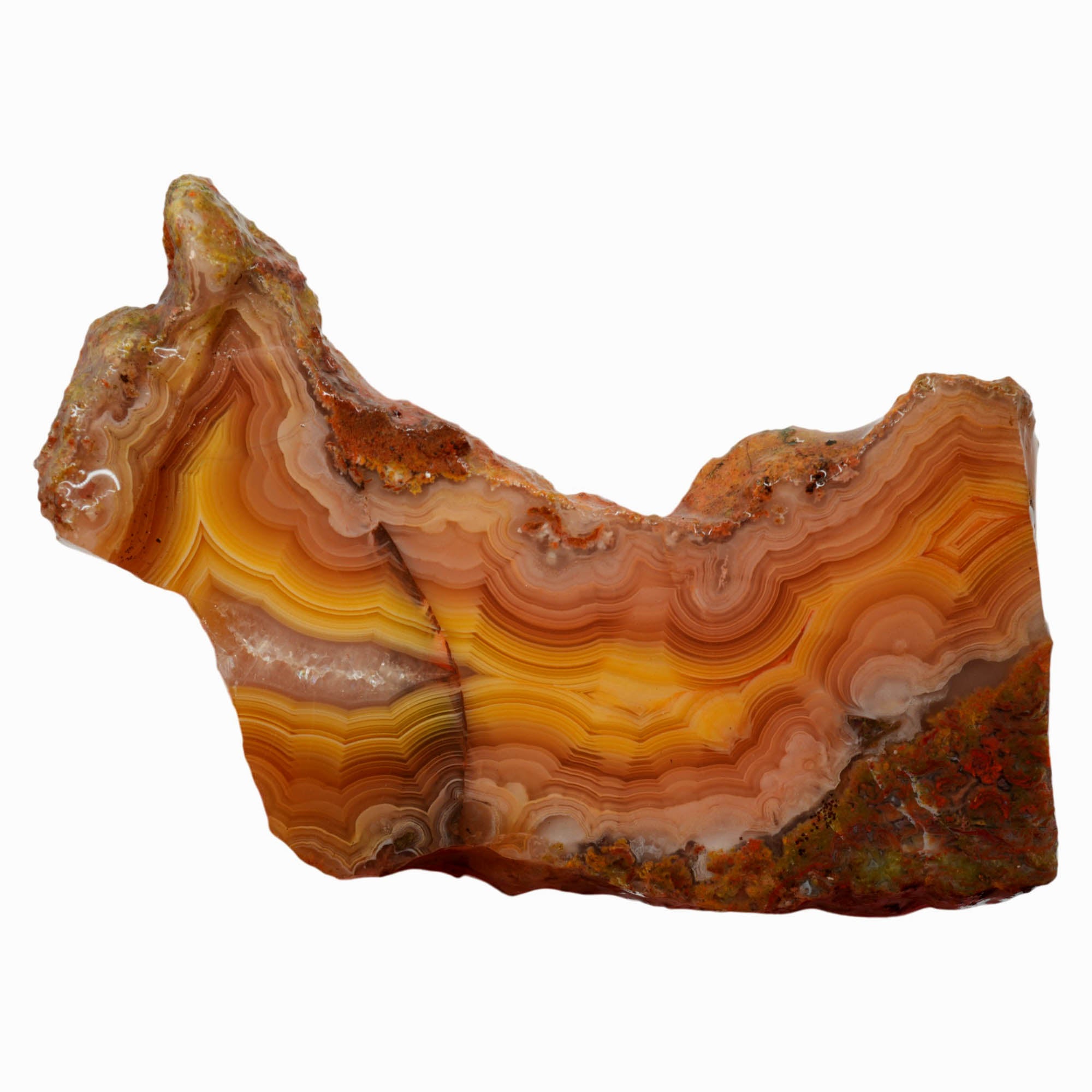 Laguna Agate Slab - Orange Peach Fortification Banded High Contrast #3999-Photo1