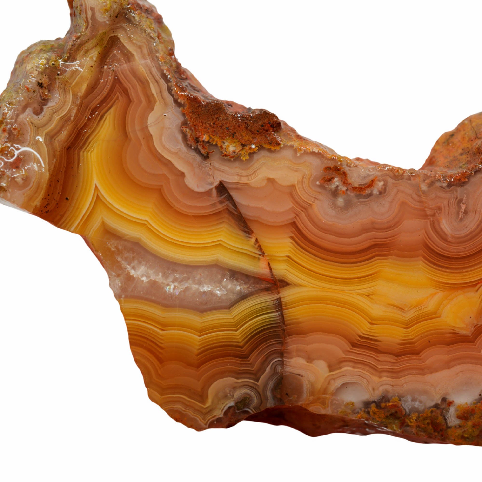 Laguna Agate Slab - Orange Peach Fortification Banded High Contrast #3999-Photo3