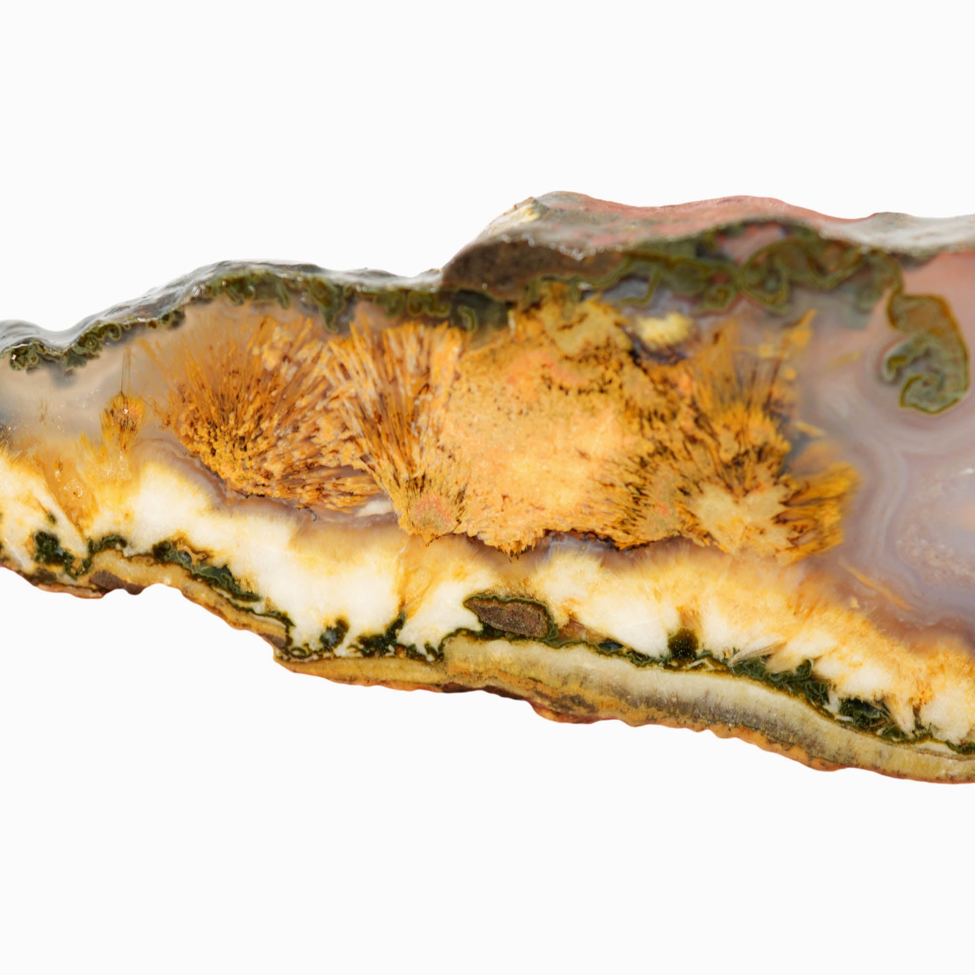 Mystery Sagenite Slab – Polished Needle Formations Display Piece! #4007-3