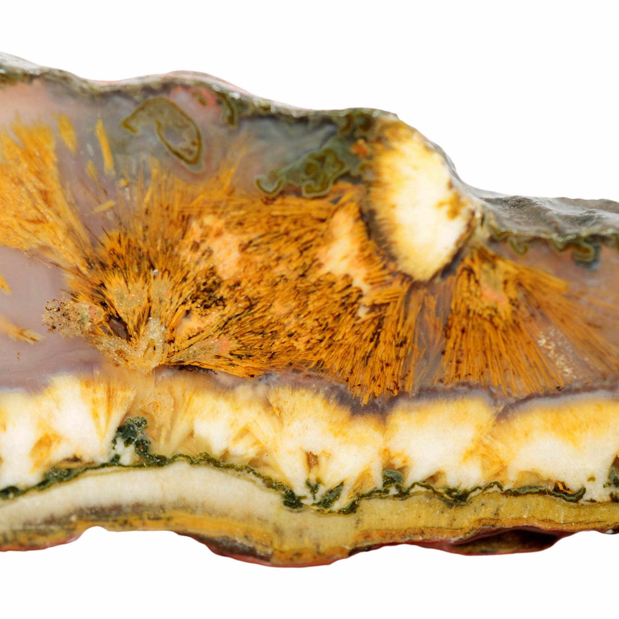 Mystery Sagenite Slab – Polished Needle Formations Display Piece! #4007-6