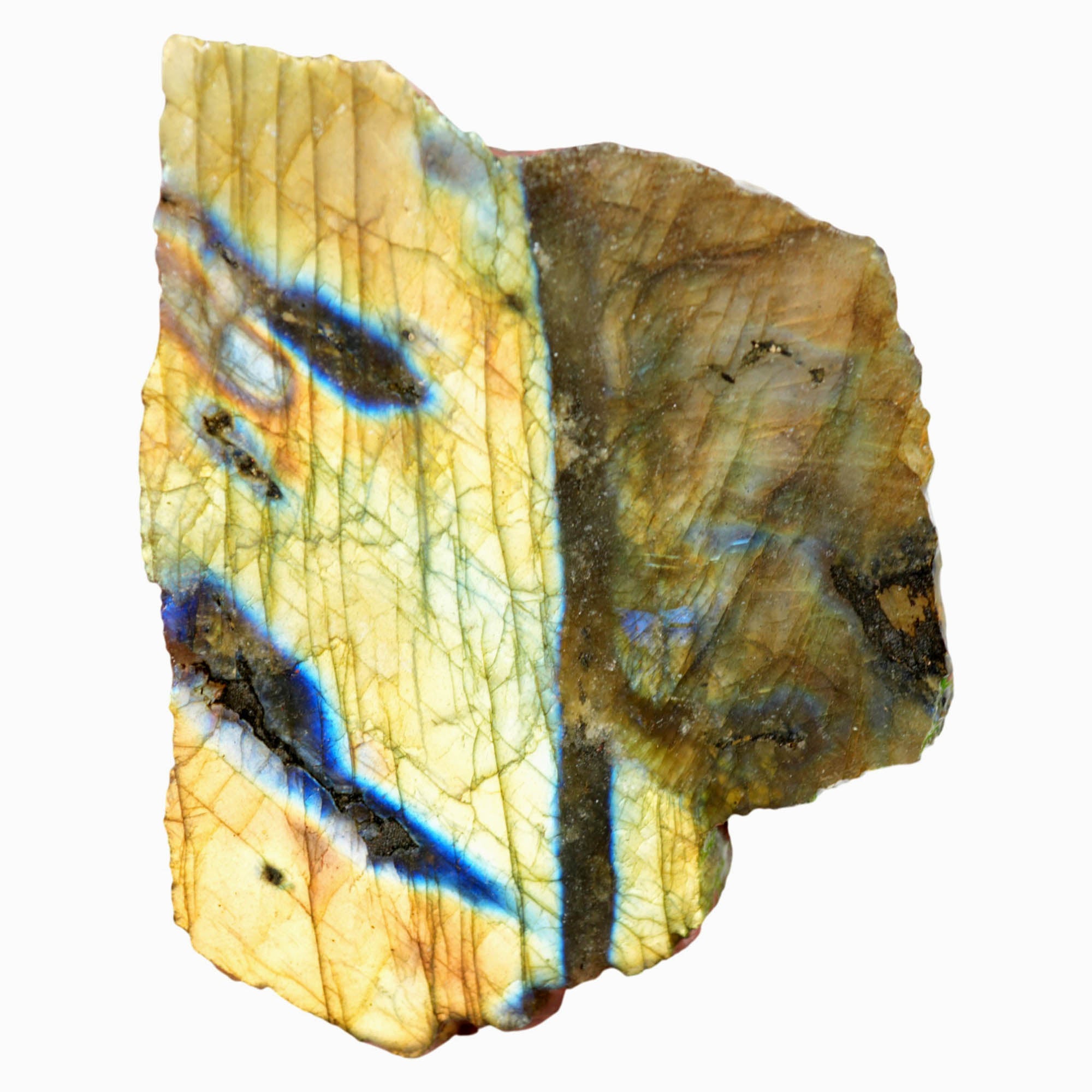 Labradorite Slab - Blue Yellow Green Flash Oil Paint
