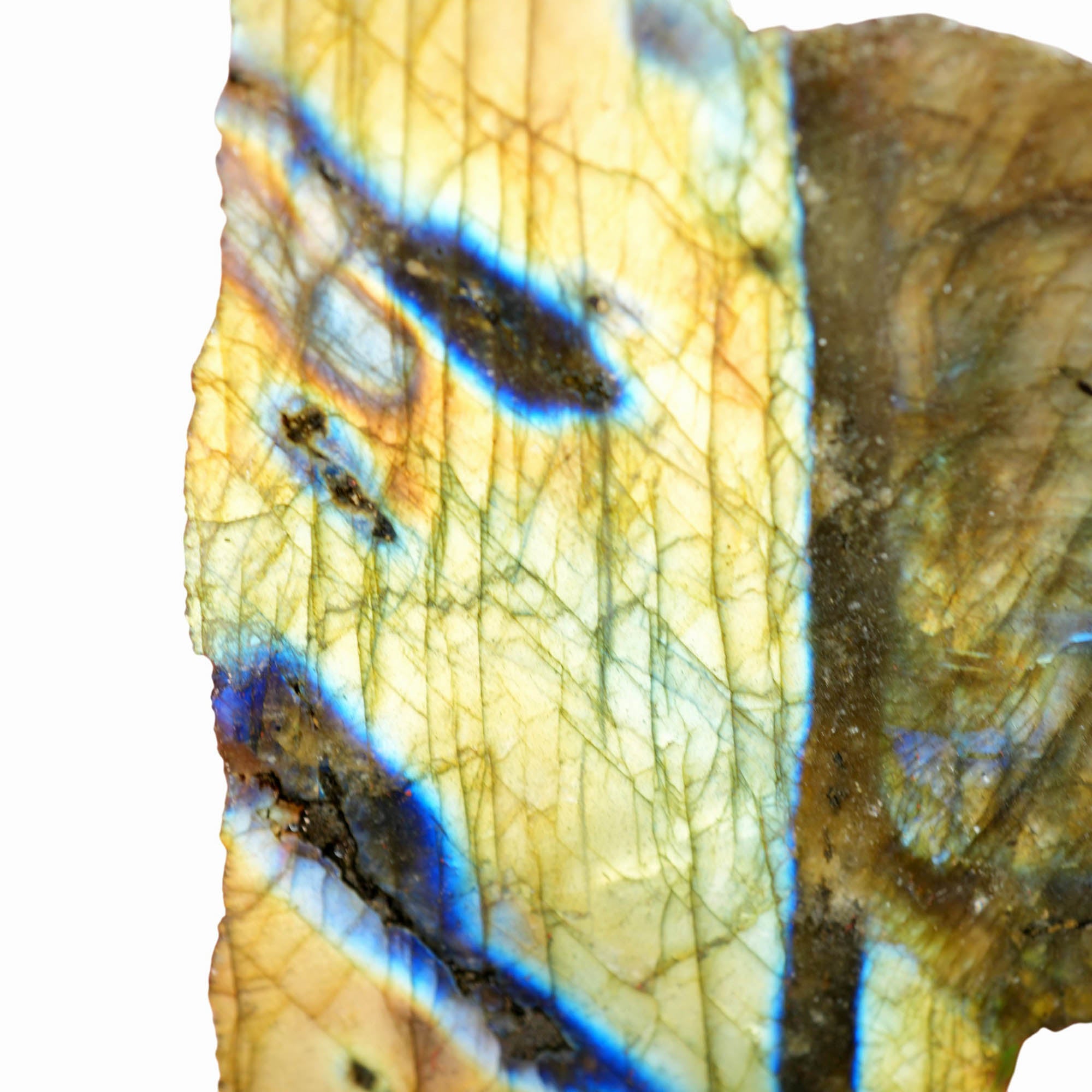 Labradorite Slab - Blue Yellow Green Flash Oil Paint Streaks #4008-Photo3