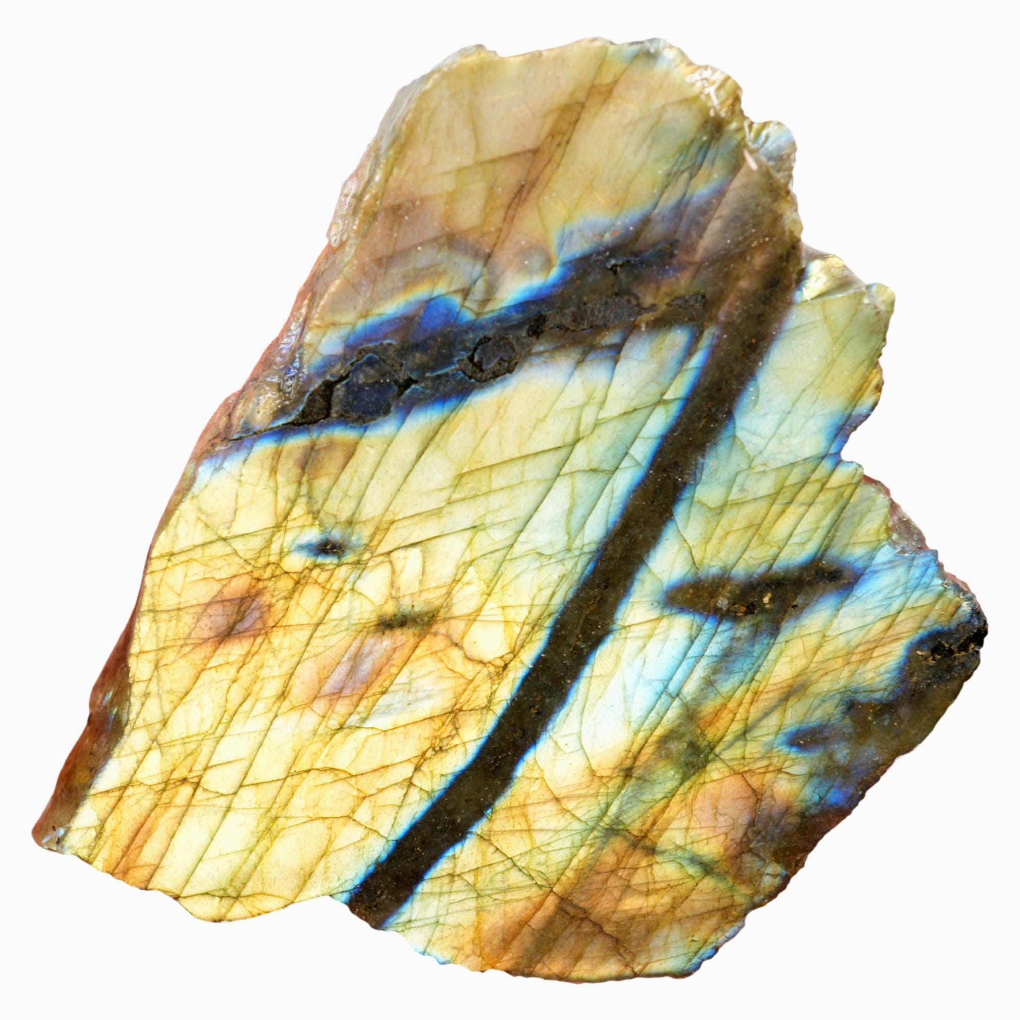 Labradorite Slab - Blue Yellow Green Flash Oil Paint Streaks #4008-Photo5