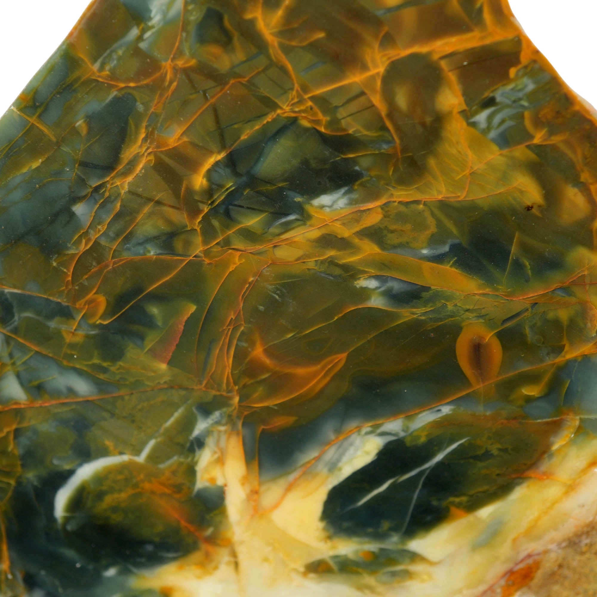 Morrisonite Jasper Slab - Blue Butterscotch Orbicular Pattern Oregon #4009-3