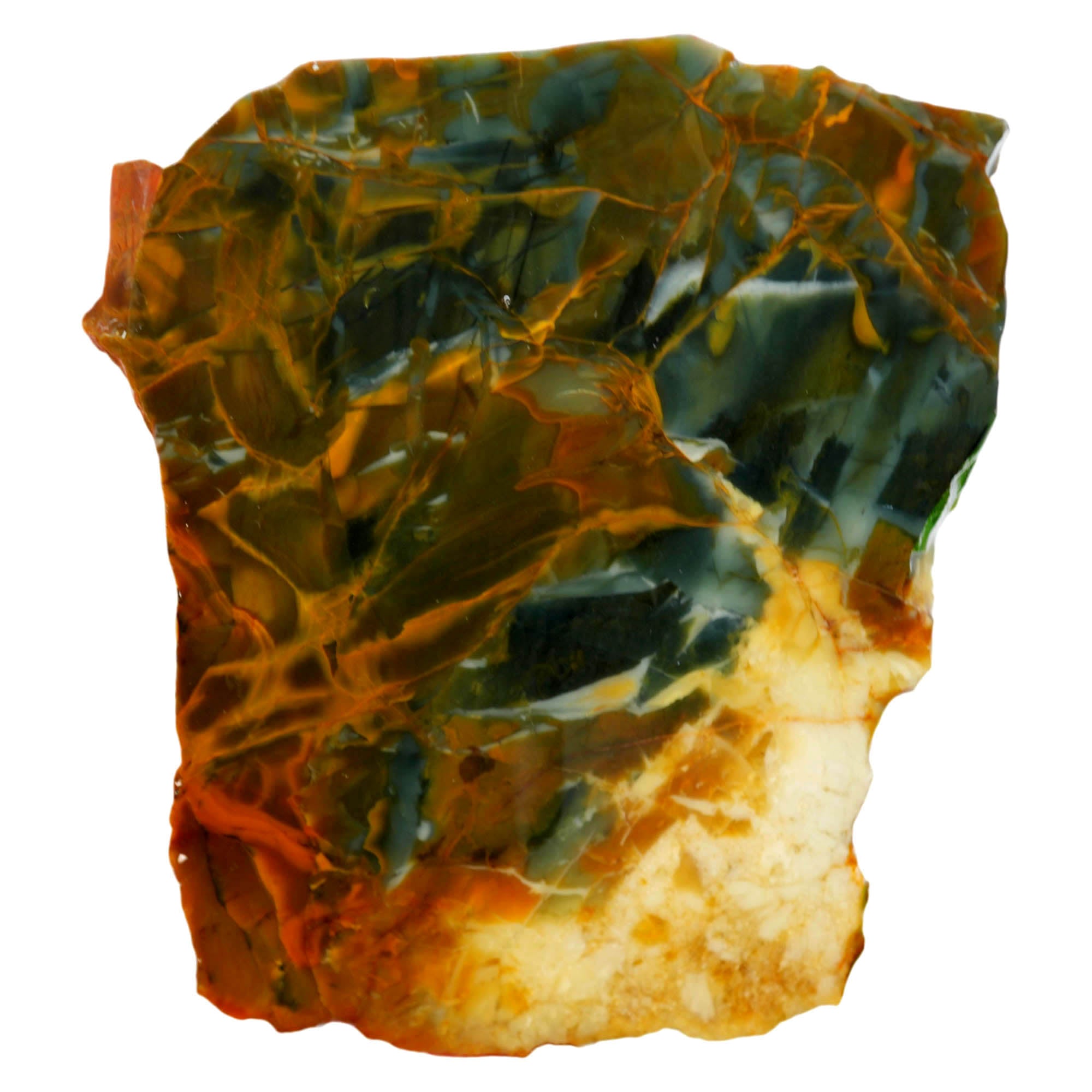 Morrisonite Jasper Slab - Blue Butterscotch Orbicular Pattern Oregon #4009-4