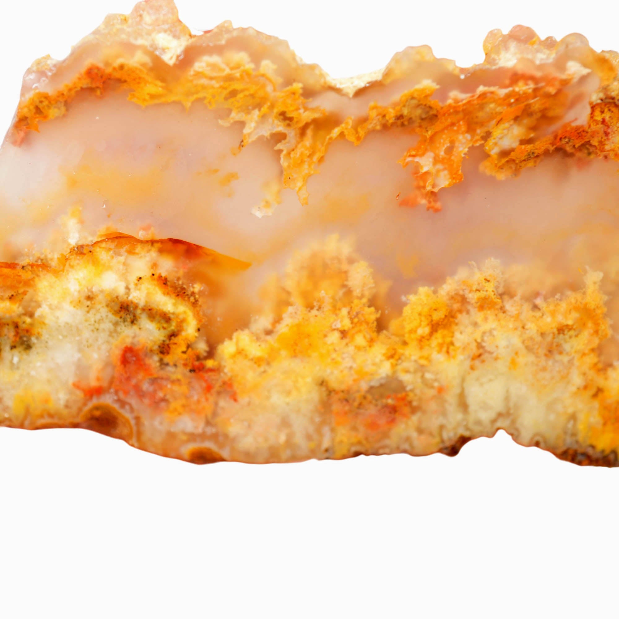 Regency Rose Plume Agate Slab – Cloudy Alien Forest Red Plumes #4011-3