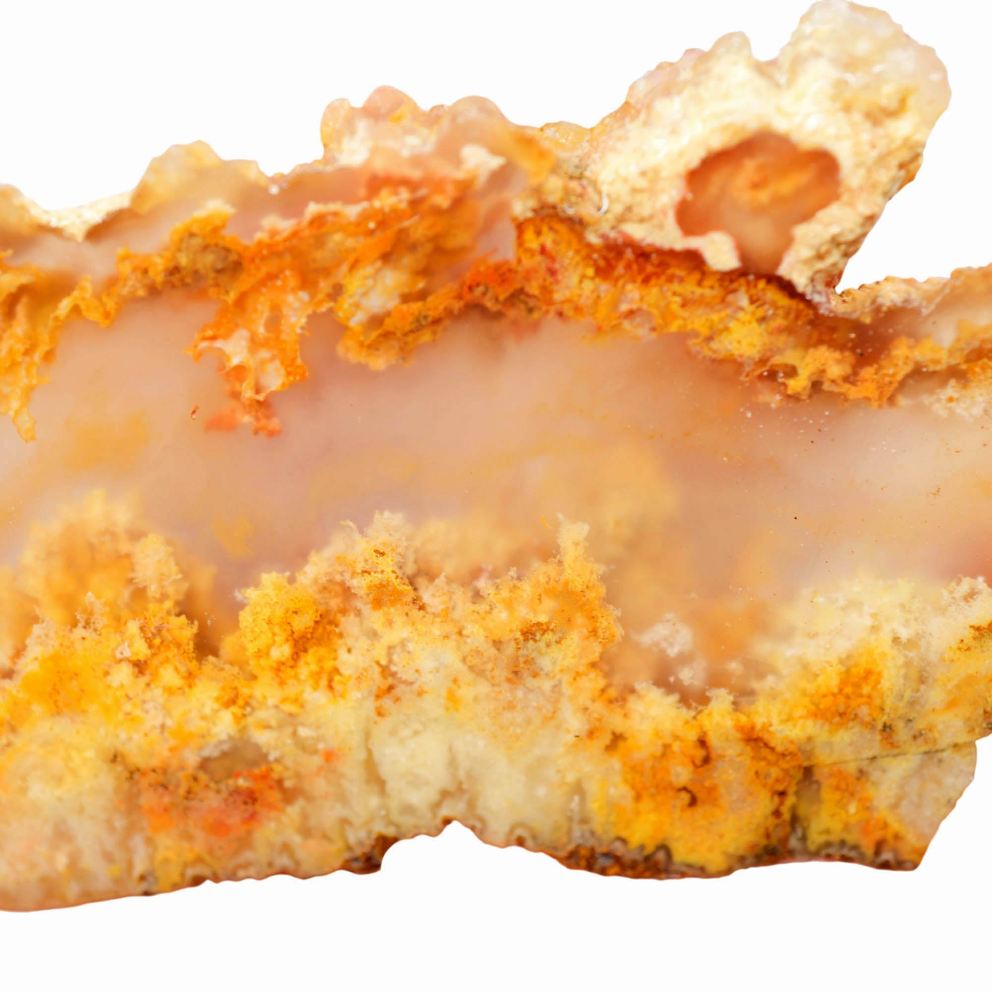 Regency Rose Plume Agate Slab – Cloudy Alien Forest Red Plumes #4011-4