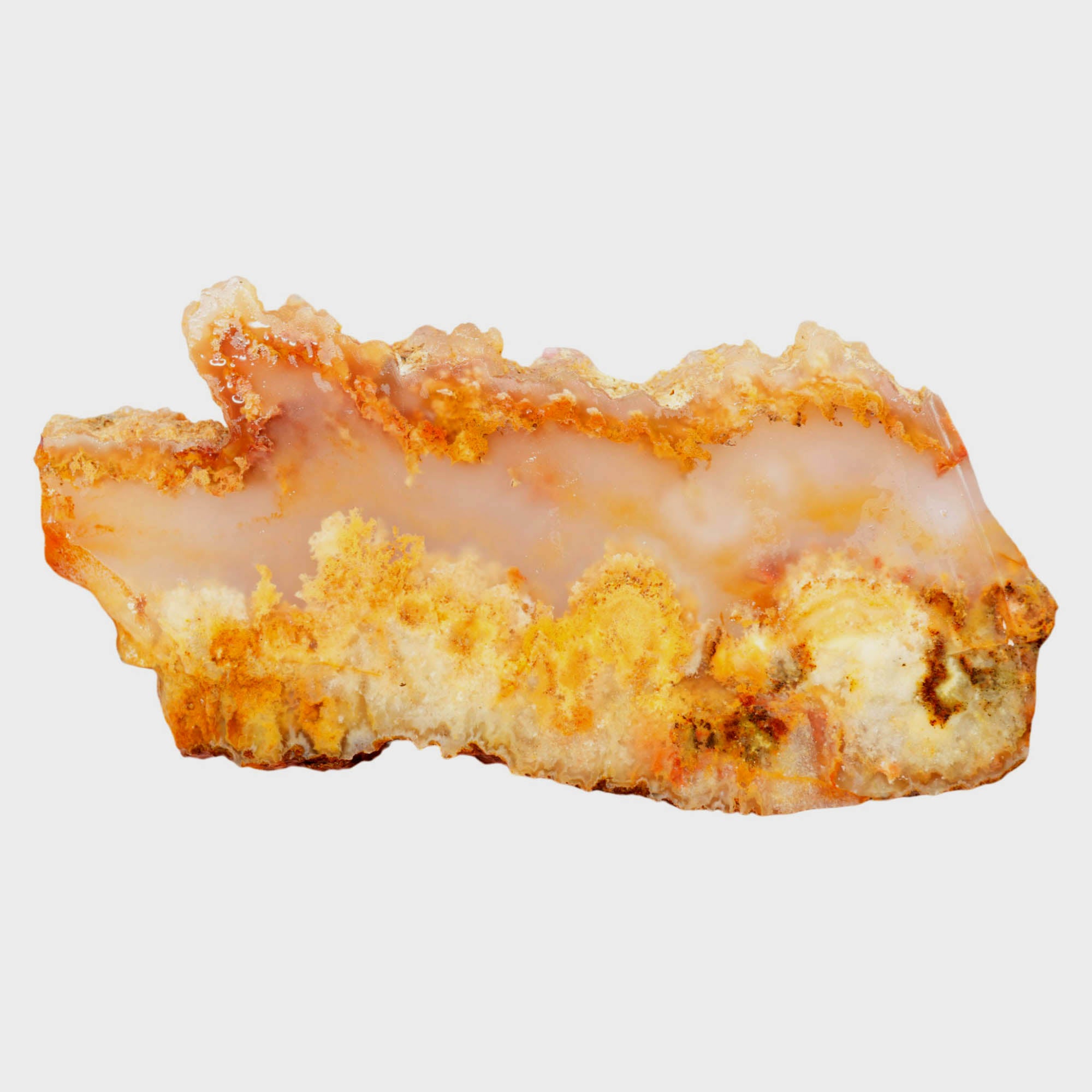 Regency Rose Plume Agate Slab – Cloudy Alien Forest Red Plumes #4011-5