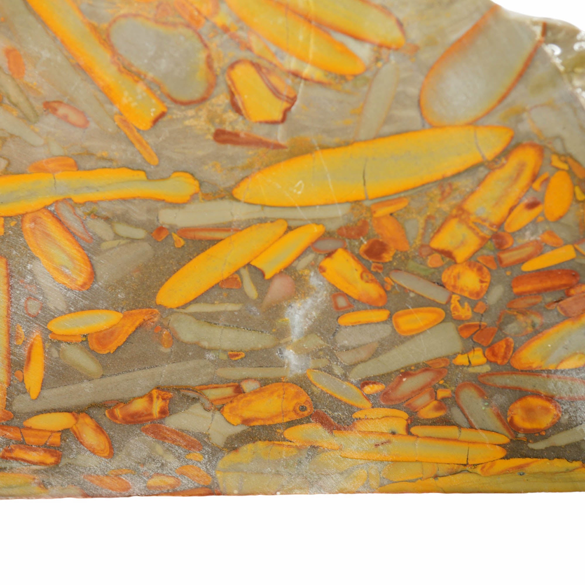Bamboo Jasper Slab - Long Conglomerate Flows Cabochon Material #4012-Photo2