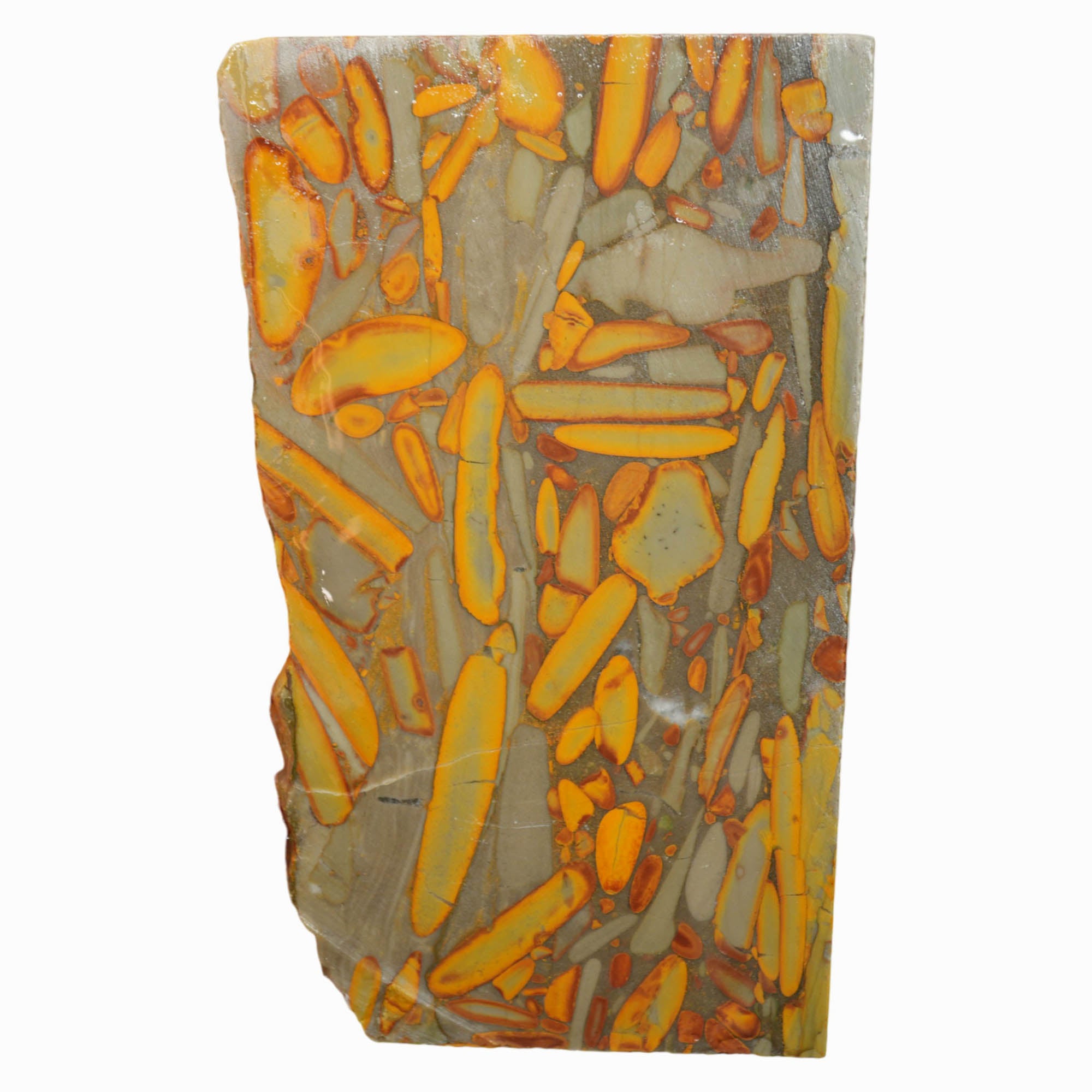 Bamboo Jasper Slab - Long Conglomerate Flows Cabochon Material #4012-Photo3