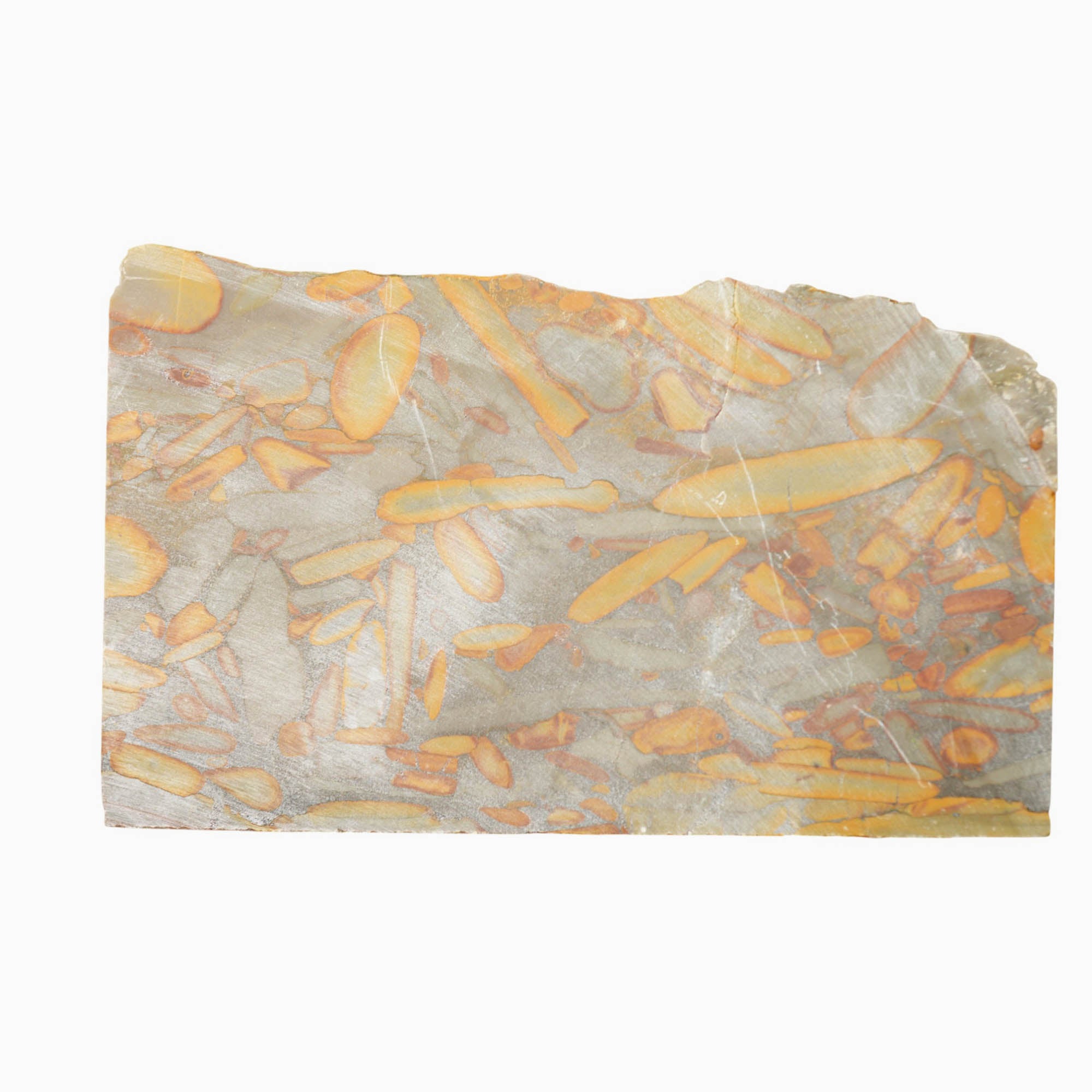 Bamboo Jasper Slab Dry - Long Conglomerate Flows Indonesian Stone #4012-Photo4