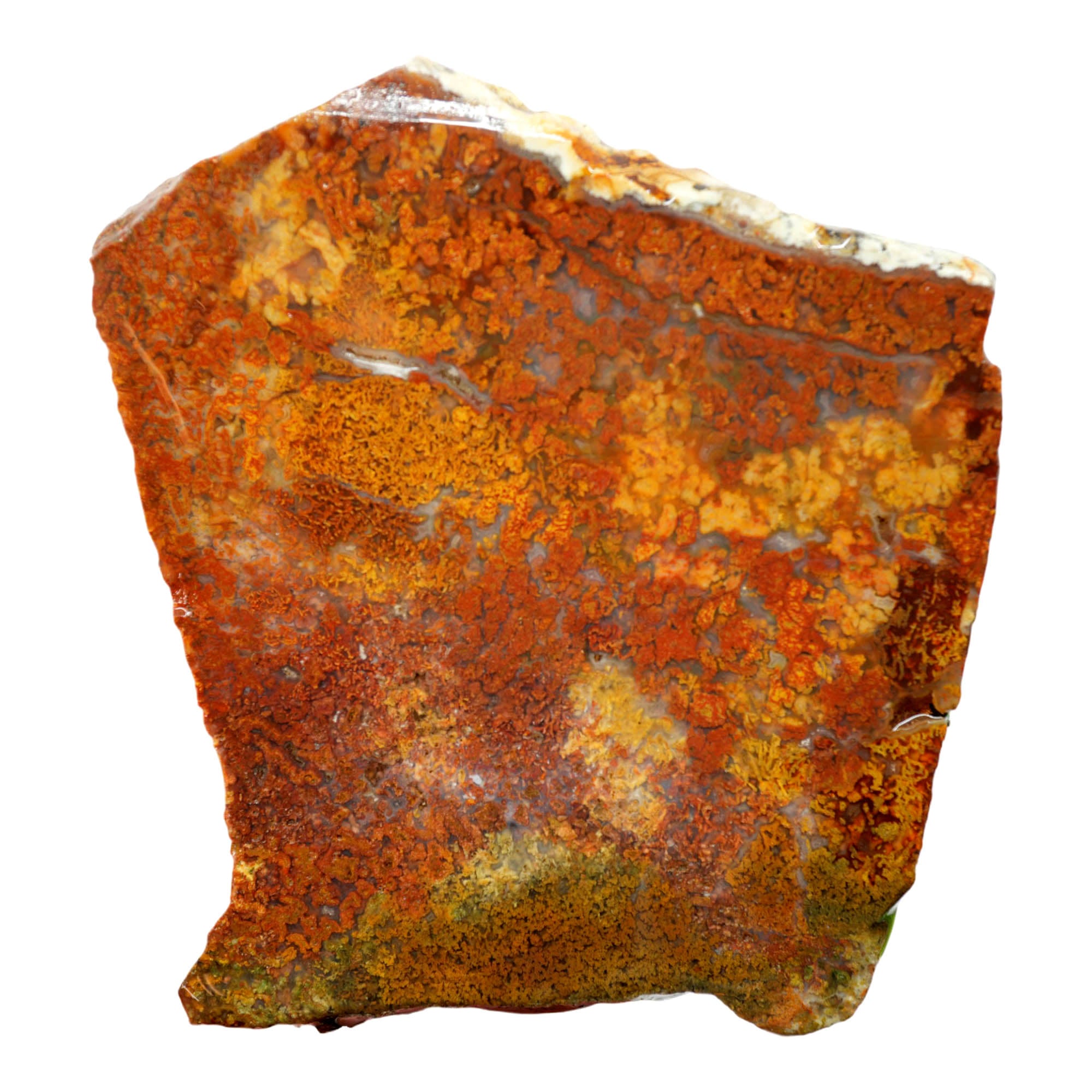 Powell Butte Plume Agate Slab - Colorful Plume Potential