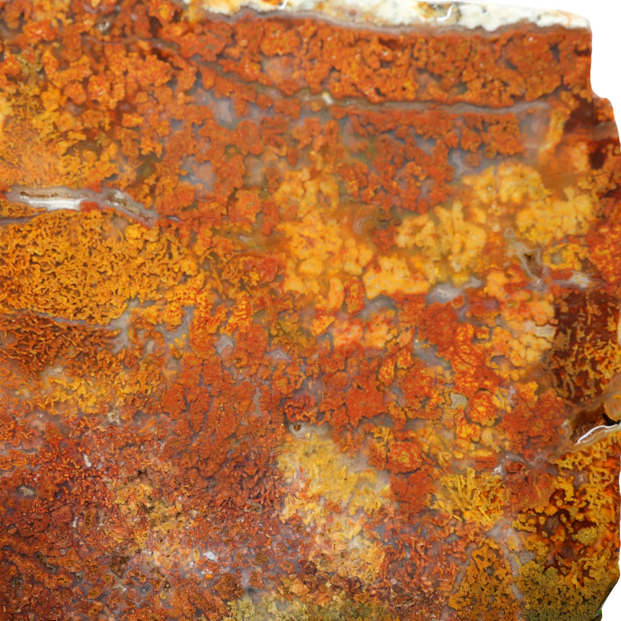Powell Butte Plume Agate Slab – Colorful Plume Formation Oregon Classic! #4013-Photo2