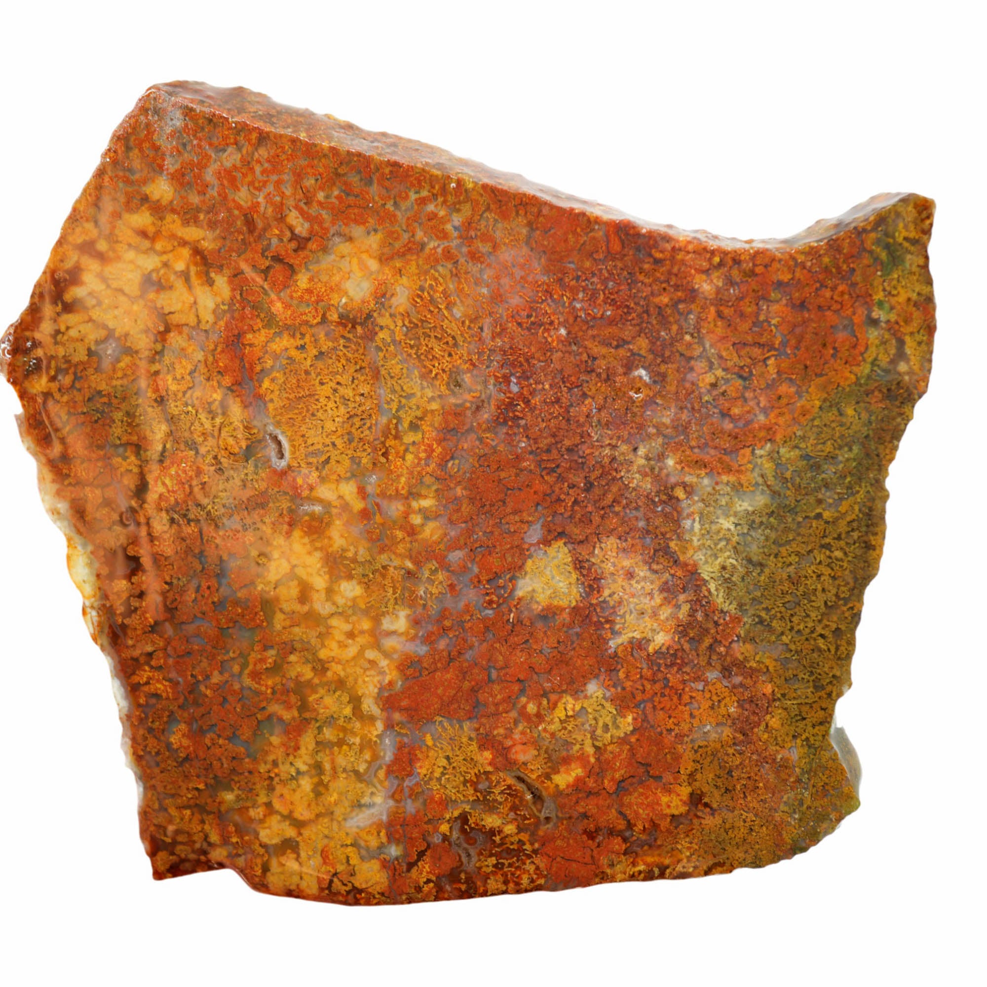 Powell Butte Plume Agate Slab – Colorful Plume Formation Oregon Classic! #4013-Photo3