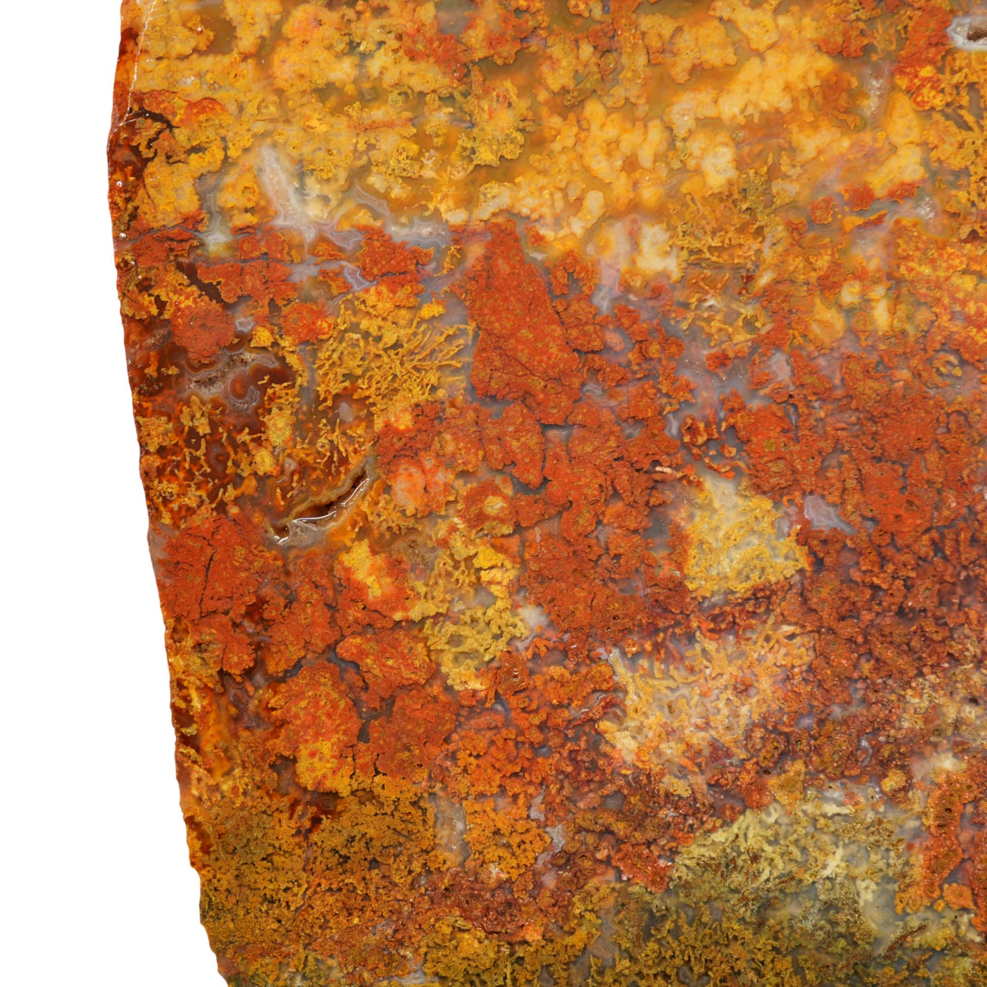 Powell Butte Plume Agate Slab – Colorful Plume Formation Oregon Classic! #4013-Photo4