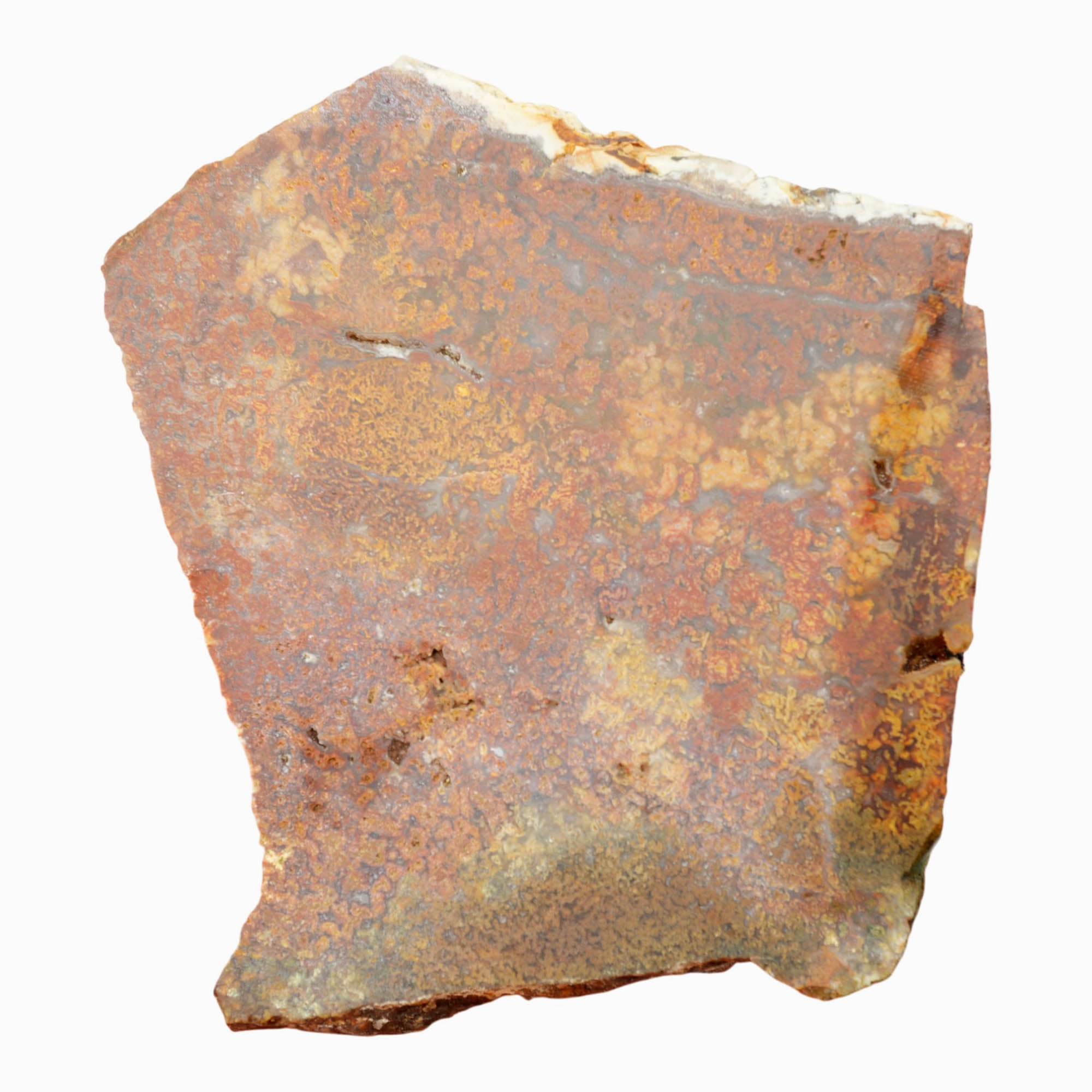 Powell Butte Plume Agate Slab Dry – Multi-Colored Plume Potential Natural! #4013-Photo5