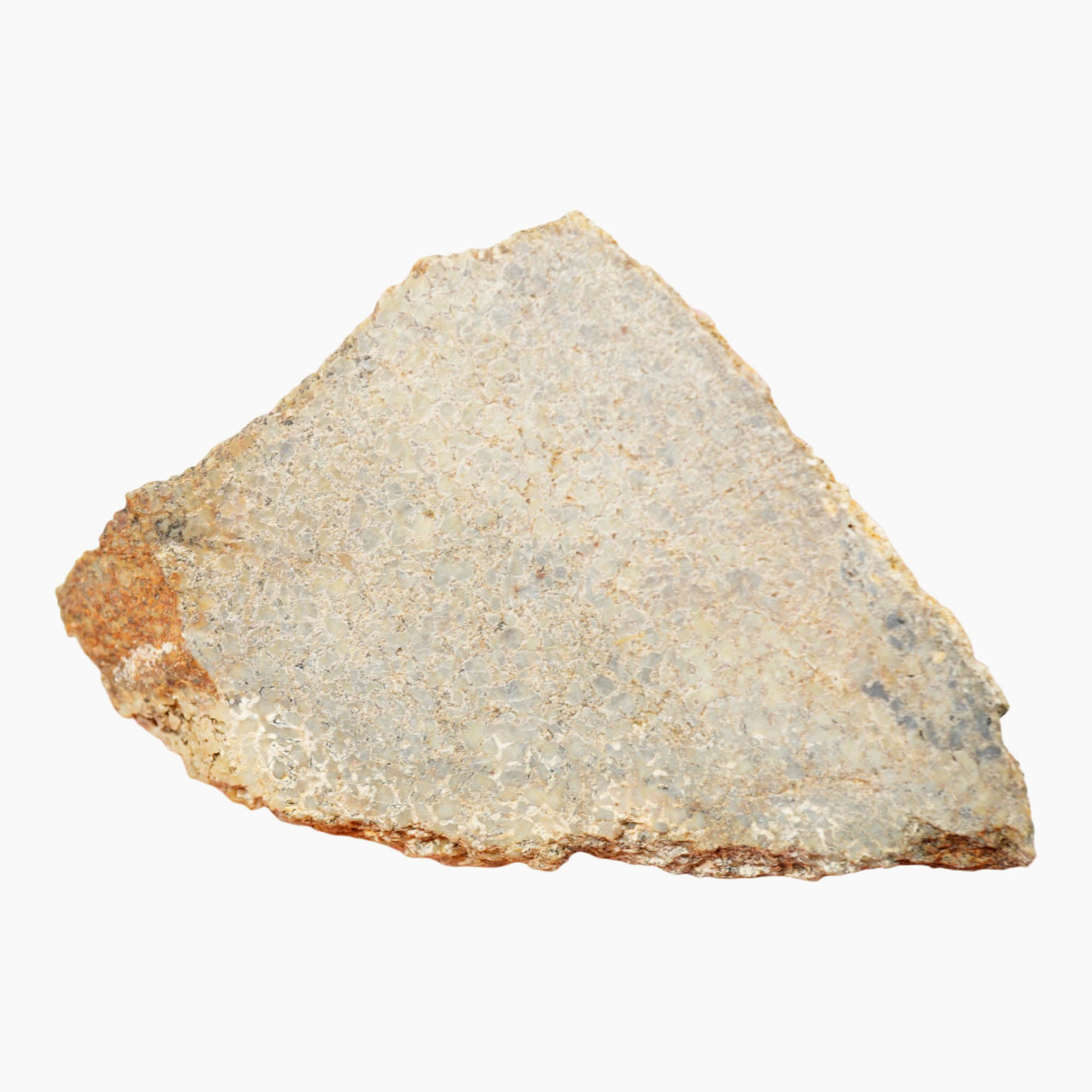 Gem Dinosaur Bone Slab - Well-Defined Cell Pattern Dry Lighter Complexion #4016-4