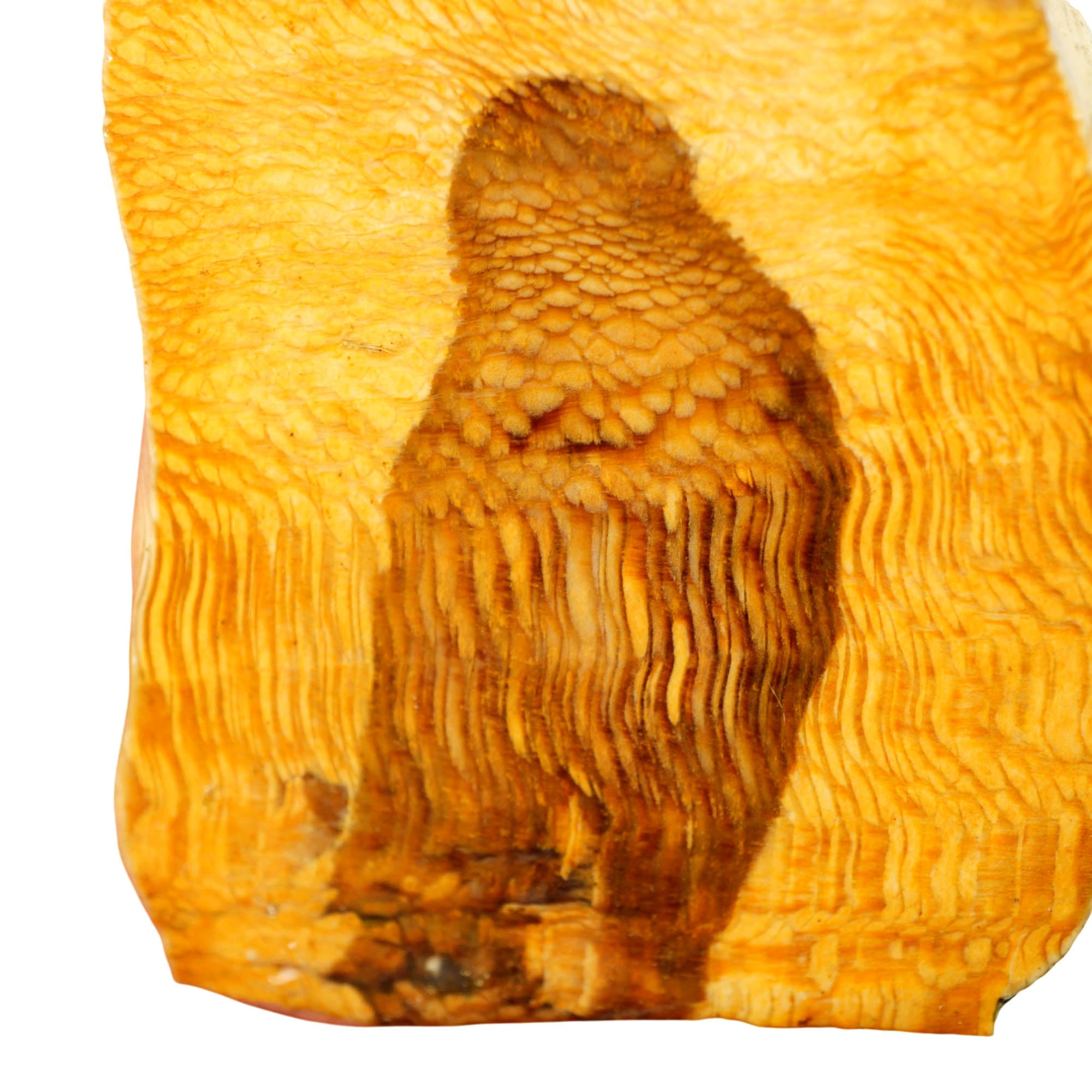 Petrified Wood Slab - Wavy Sycamore Grain Old Stock #4017-Photo2