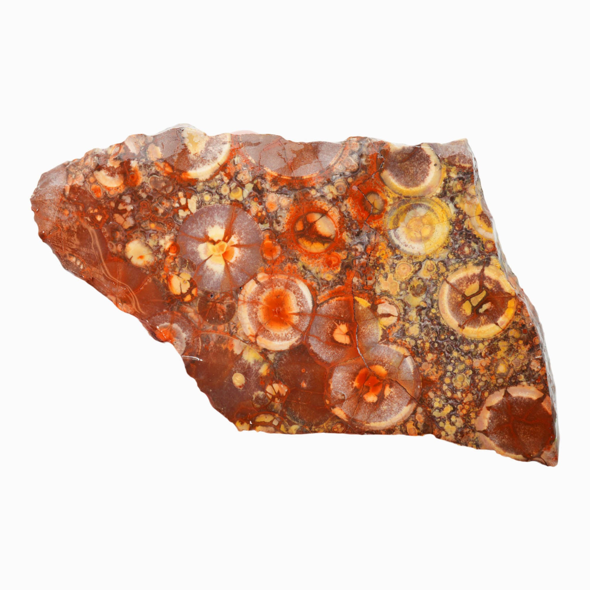 Birdseye Rhyolite Slab - Purple Orb Pattern with Galaxy Colors