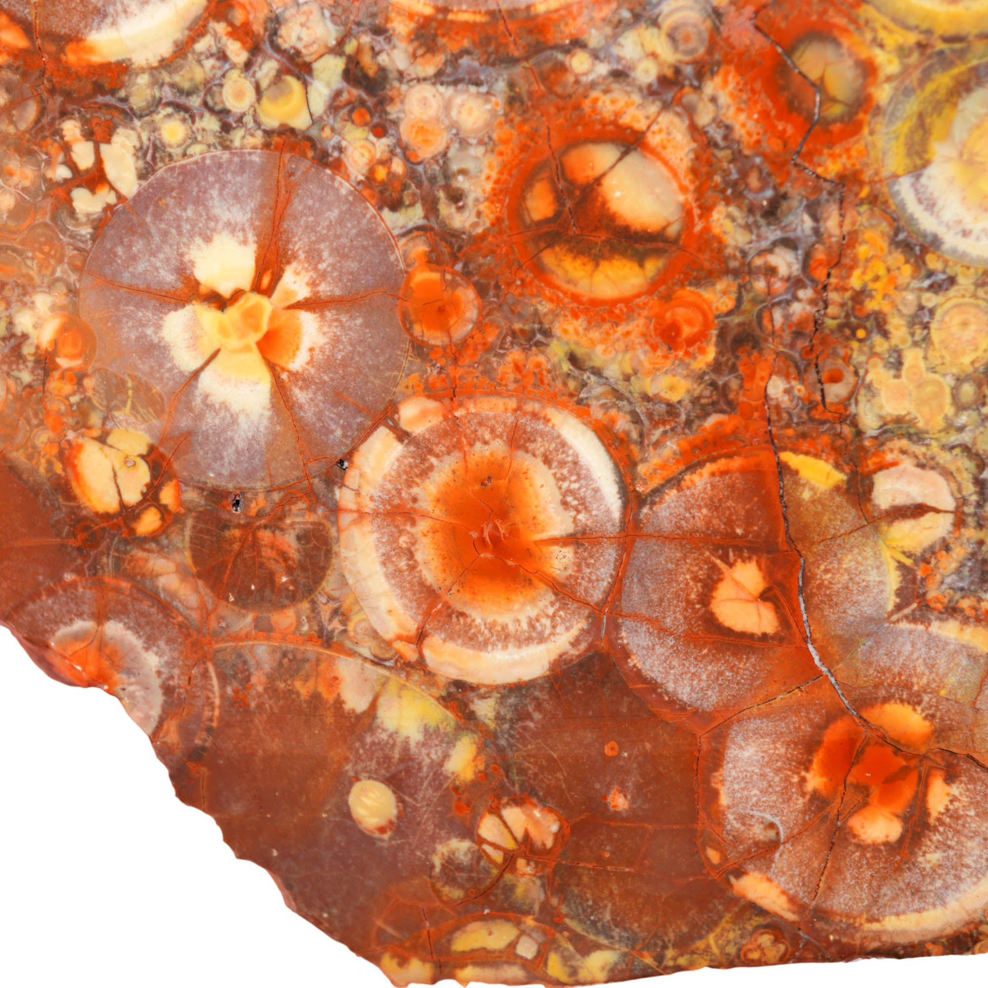Birdseye Rhyolite Slab – Purple Orb Galaxy Pattern Mexican Old Stock #4018-Photo2