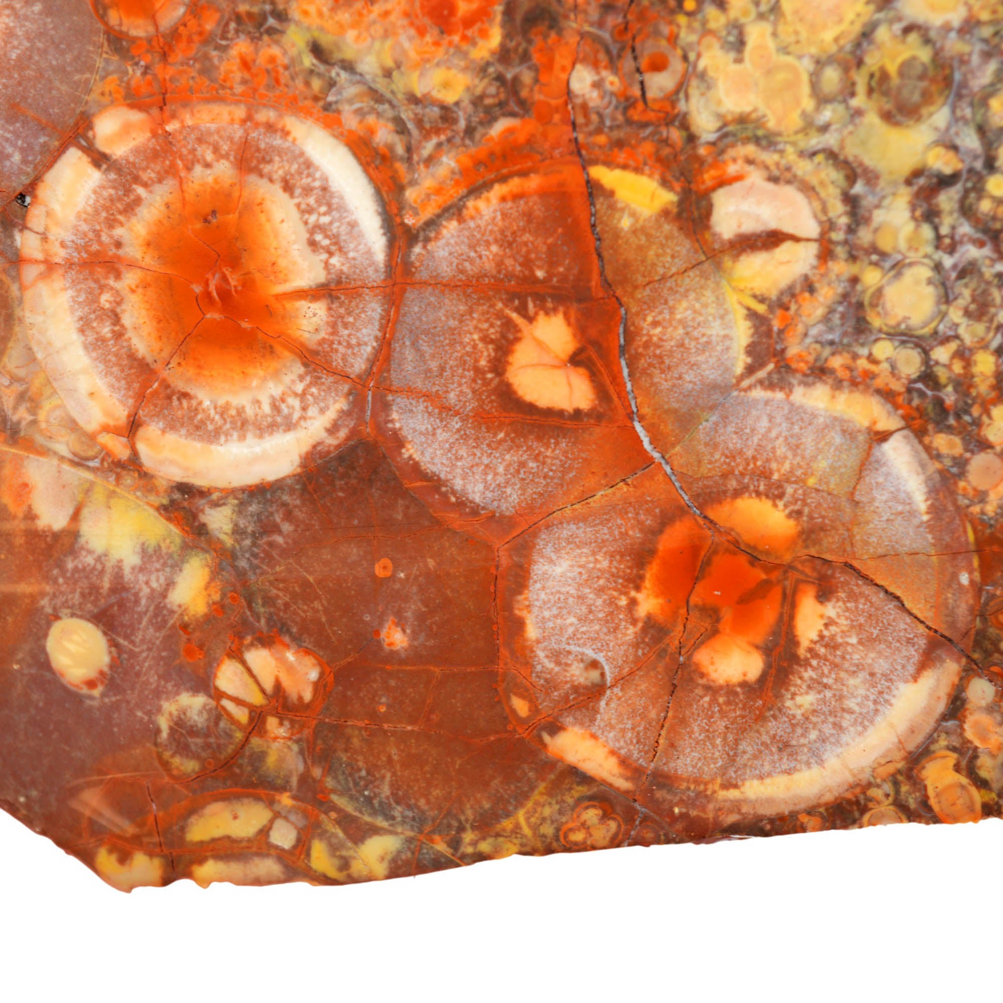 Birdseye Rhyolite Slab – Purple Orb Galaxy Pattern Mexican Old Stock #4018-Photo3
