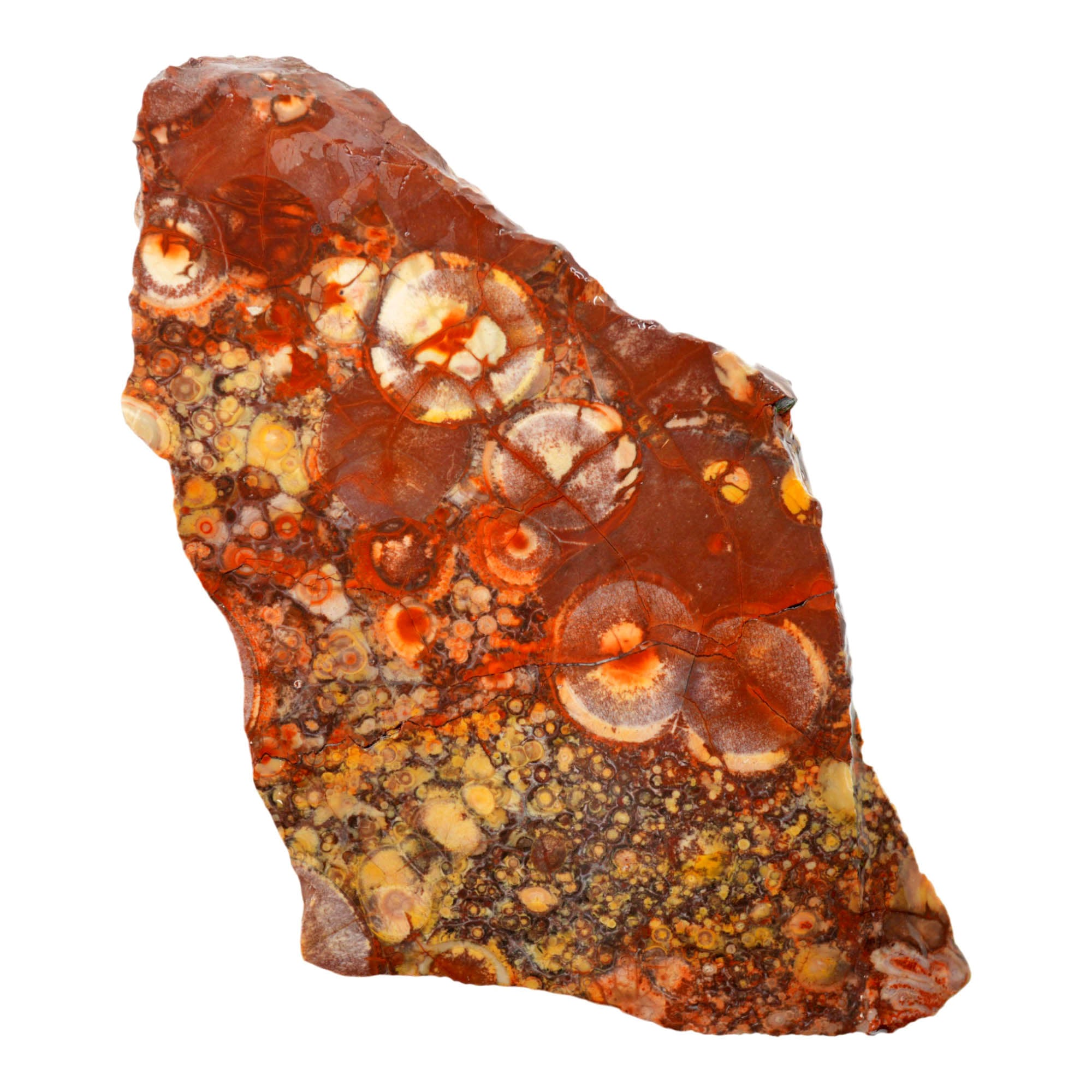 Birdseye Rhyolite Slab – Purple Orb Galaxy Pattern Mexican Old Stock #4018-Photo4