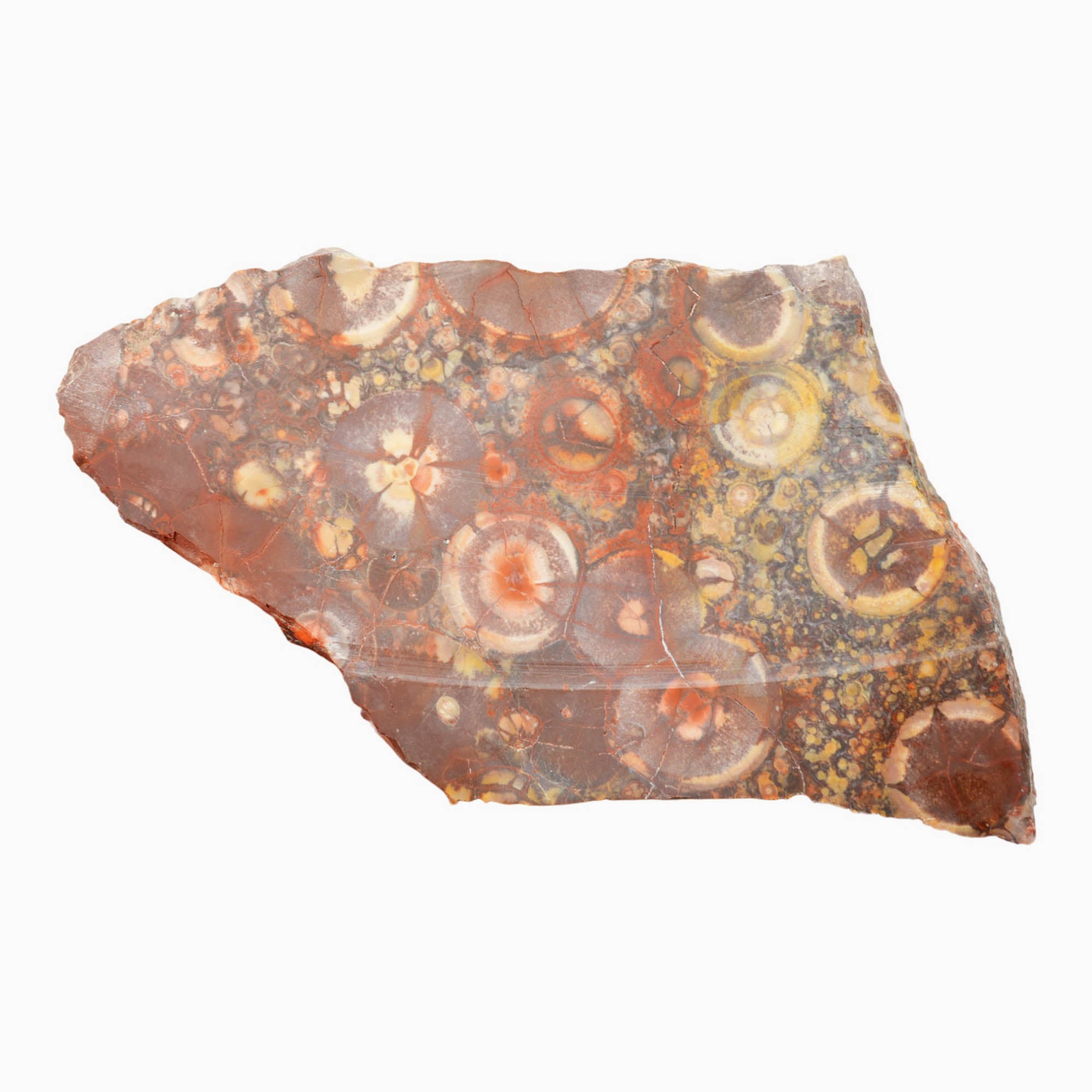 Birdseye Rhyolite Slab Dry – Purple Orb Galaxy Pattern Mexican Old Stock #4018-Photo5