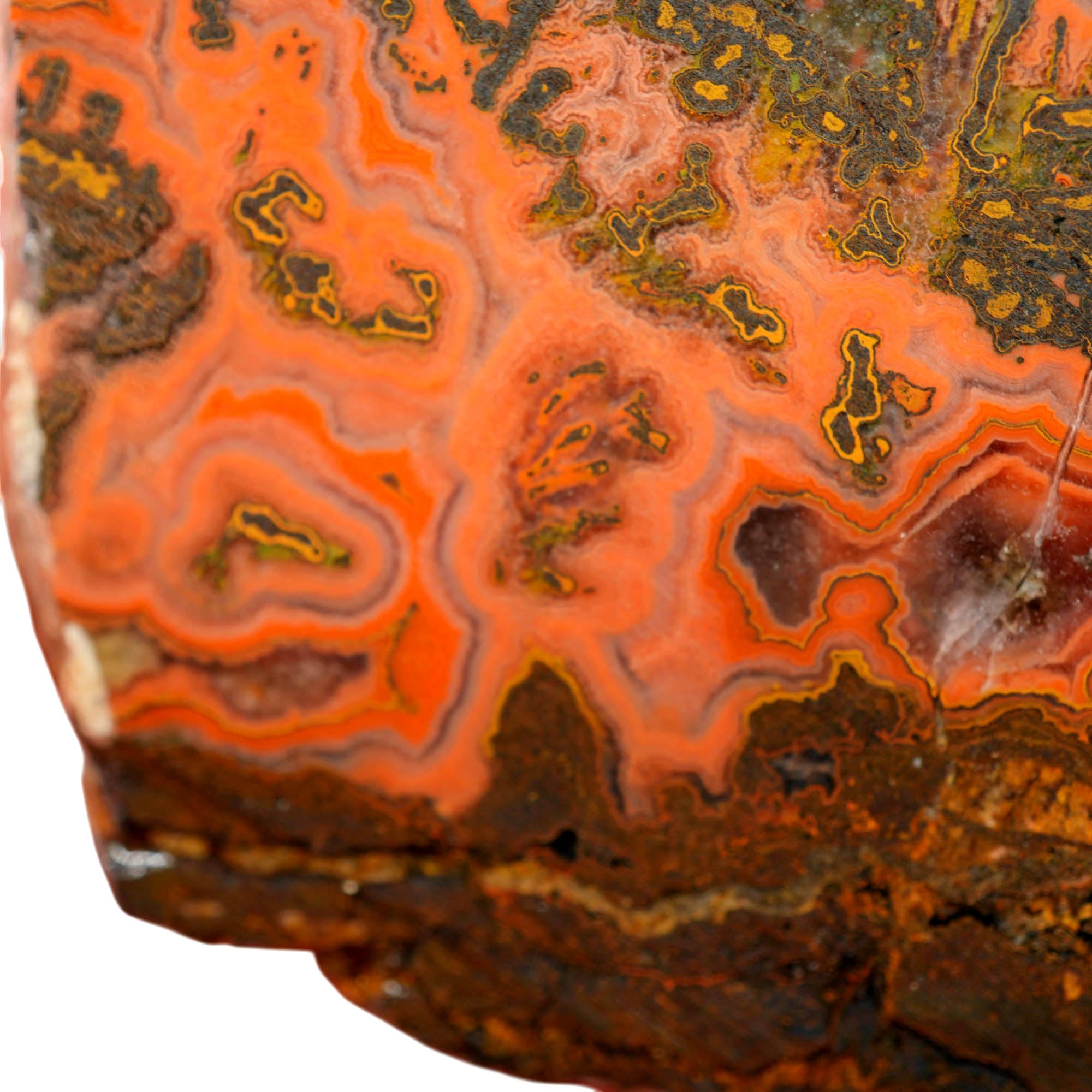 Yellow Jacket Jasper Slab - Red Lace Hematite Flowers Morocco #4019-4