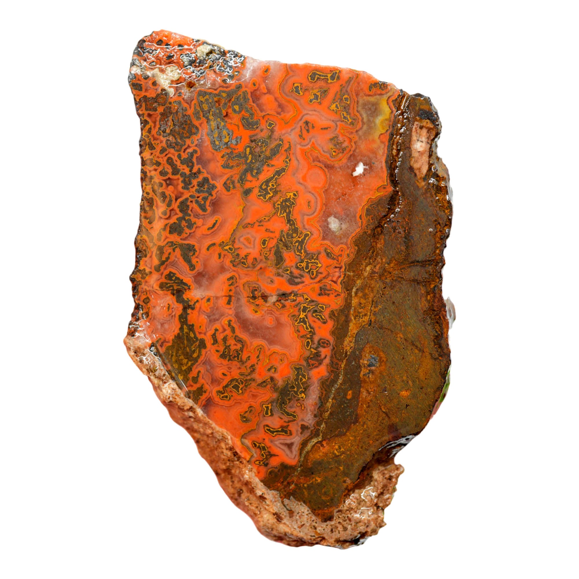 Yellow Jacket Jasper Slab - Red Lace Hematite Flowers Morocco #4019-5