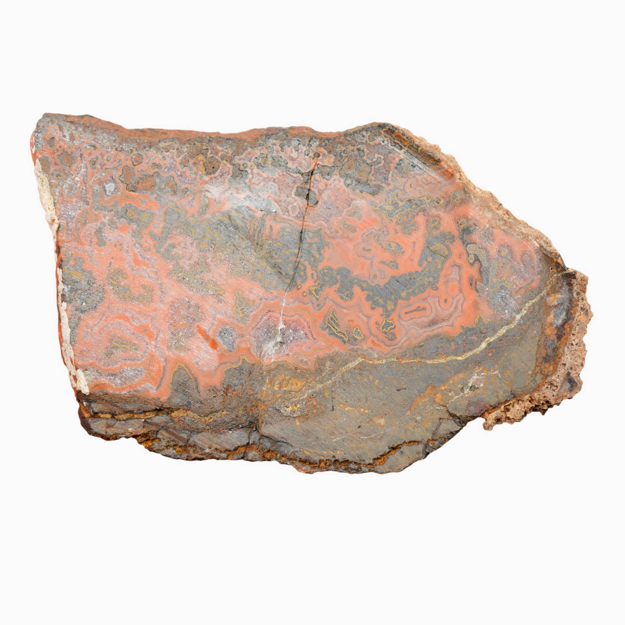 Yellow Jacket Jasper Slab Dry - Red Lace Hematite Flowers Morocco #4019-6