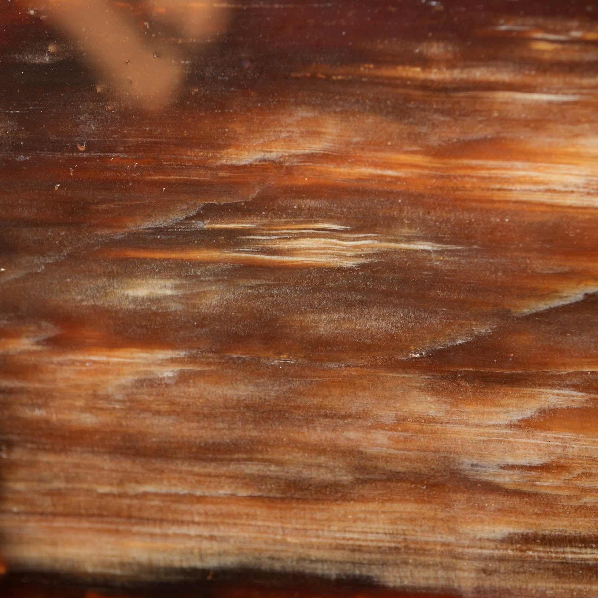 Mystery Petrified Wood Slab – Vintage Washington Collection Estate! #4020-2