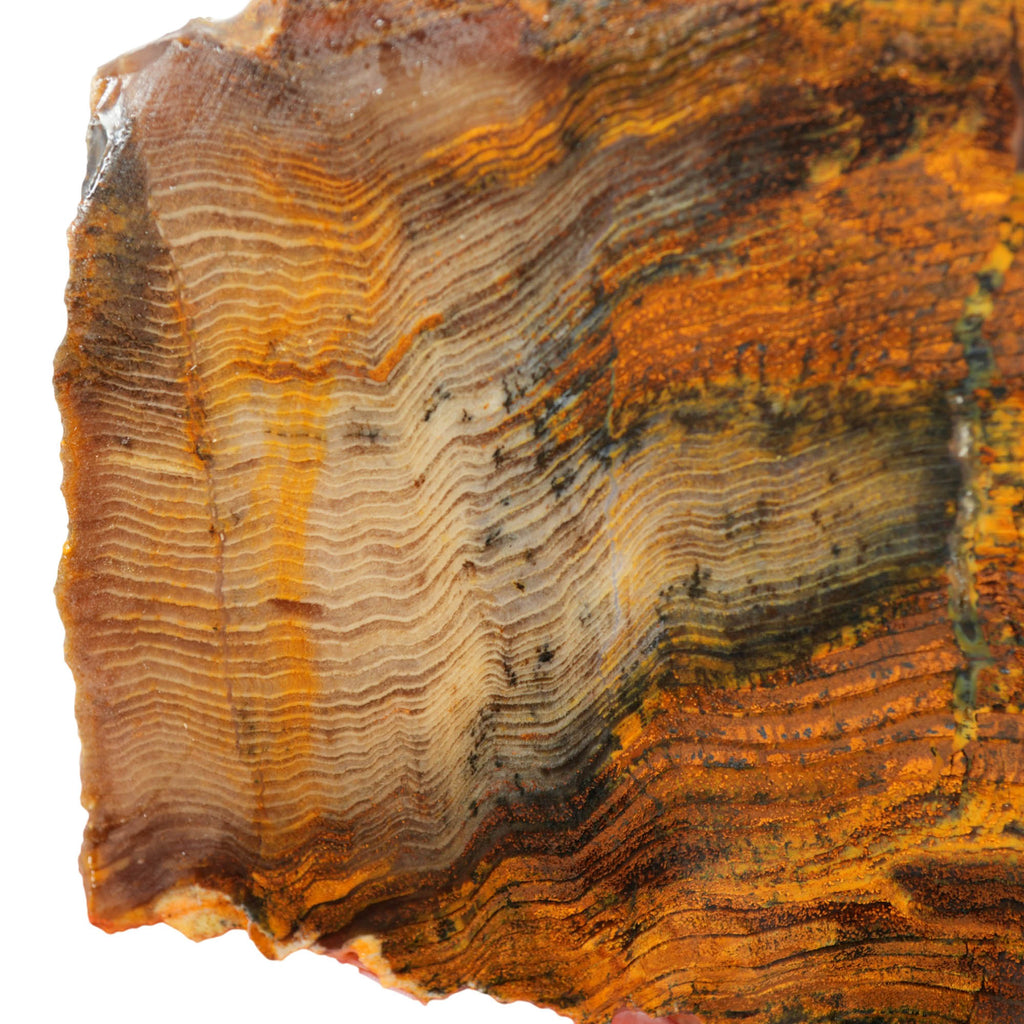 Hermatite Pattern Mystery Petrified Wood Slab - Herringbone Hematite Pattern