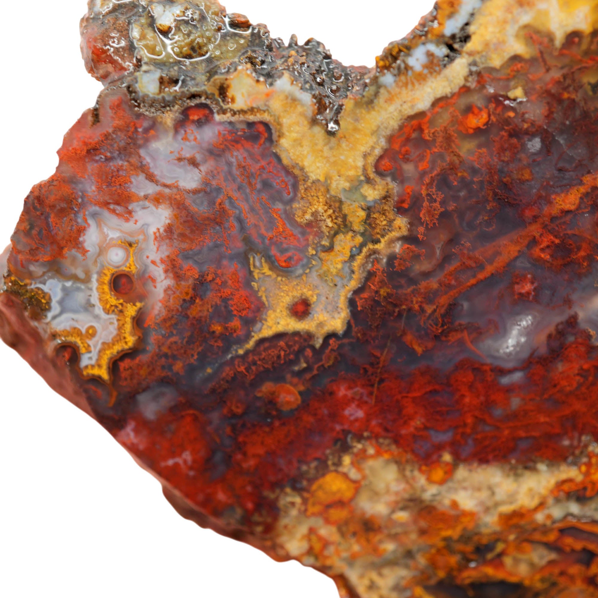 San Carlos Agate Slab - Red Moss Blue Agate Mexican Druzy #4024-Photo3