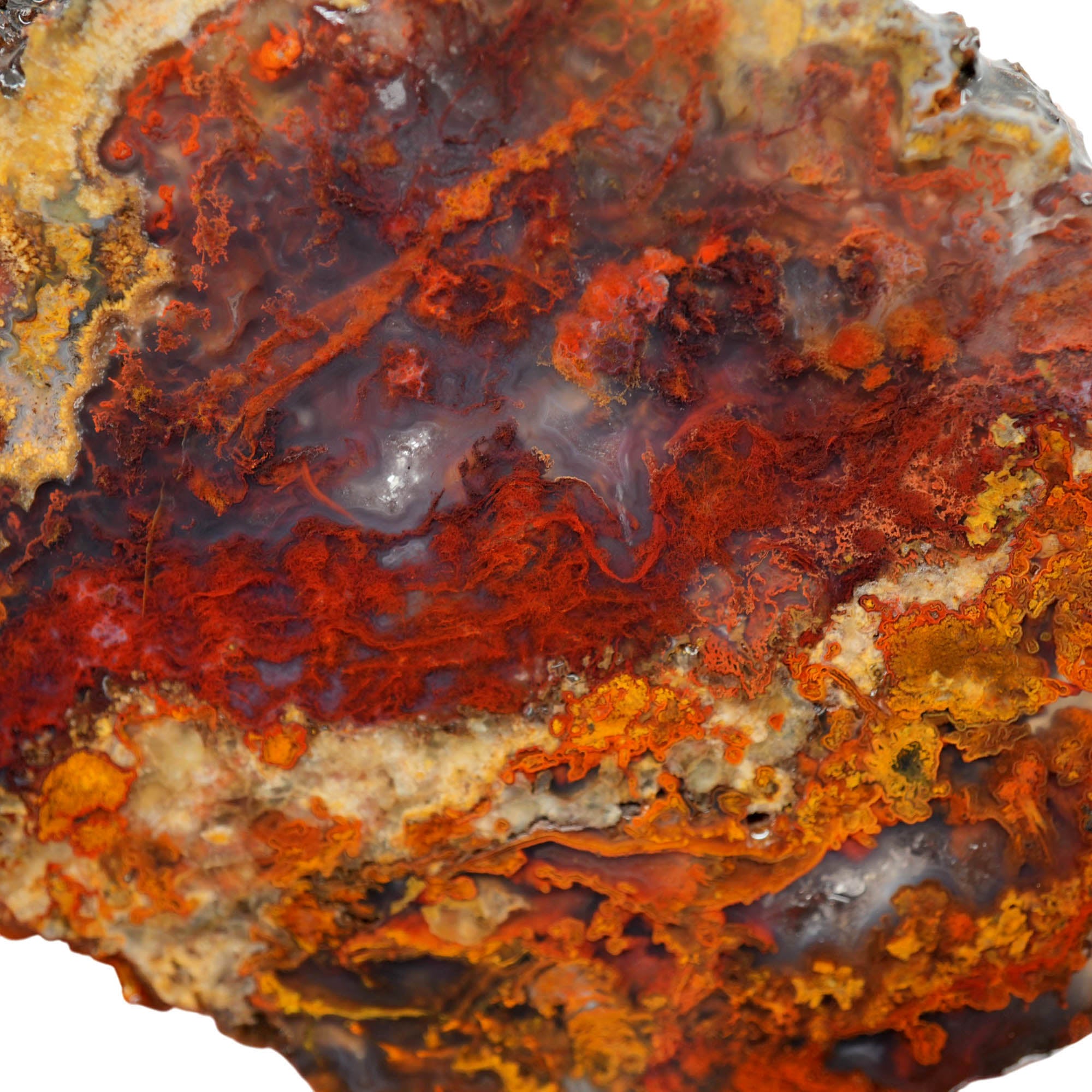San Carlos Agate Slab - Red Moss Blue Agate Mexican Druzy #4024-Photo4