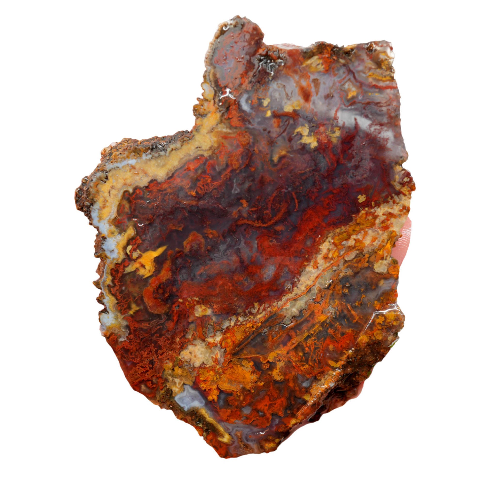San Carlos Agate Slab - Red Moss Blue Agate Mexican Druzy #4024-Photo5