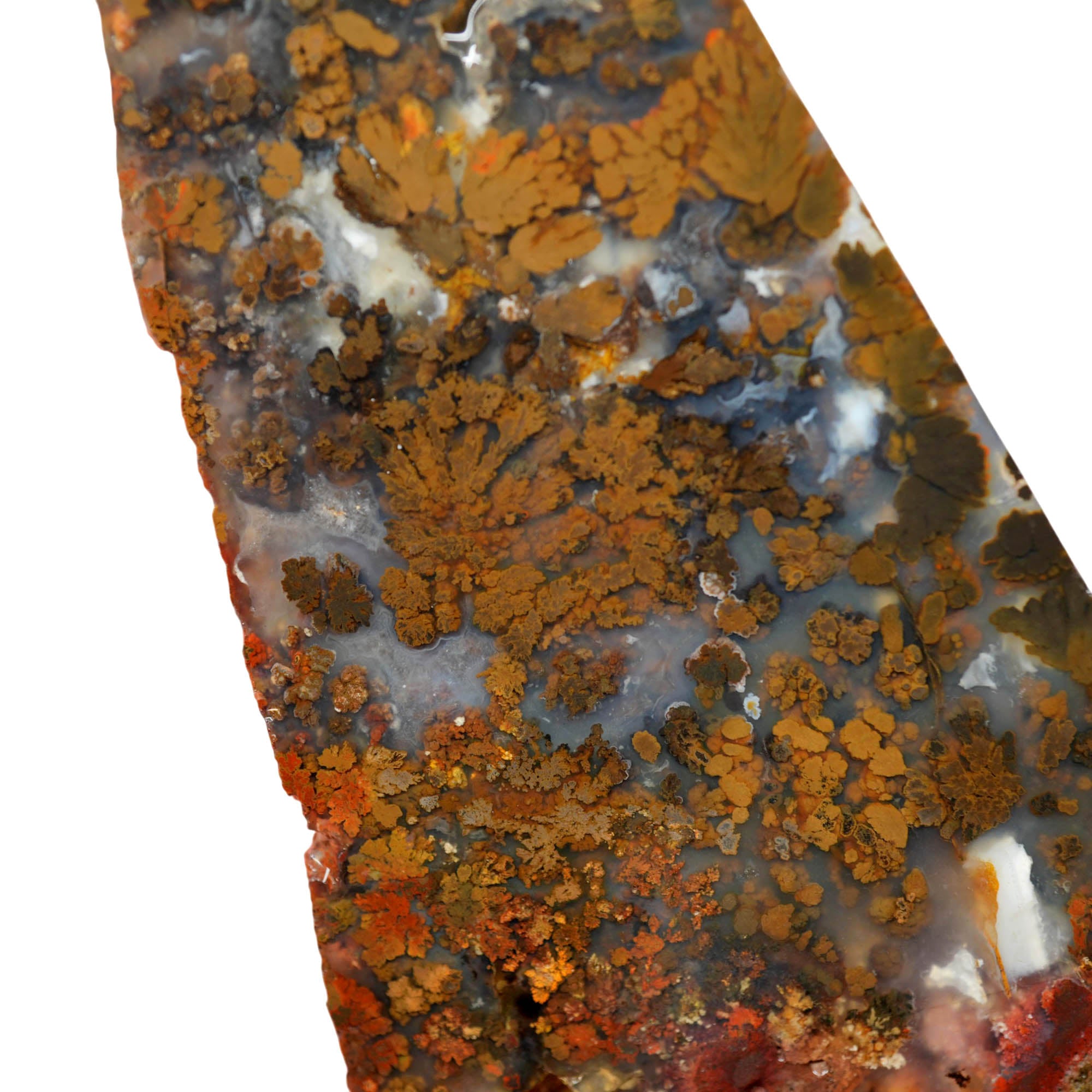 Powell Butte Plume Agate Slab – Black White Plume Blue Matrix #4025-2