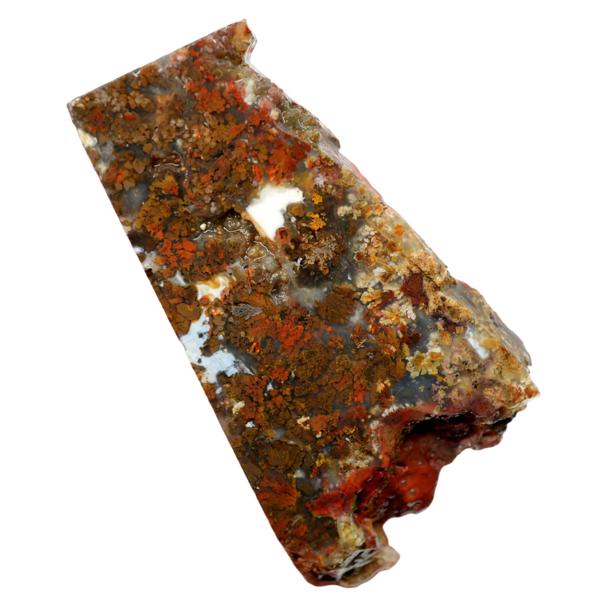Powell Butte Plume Agate Slab – Black White Plume Blue Matrix #4025-4
