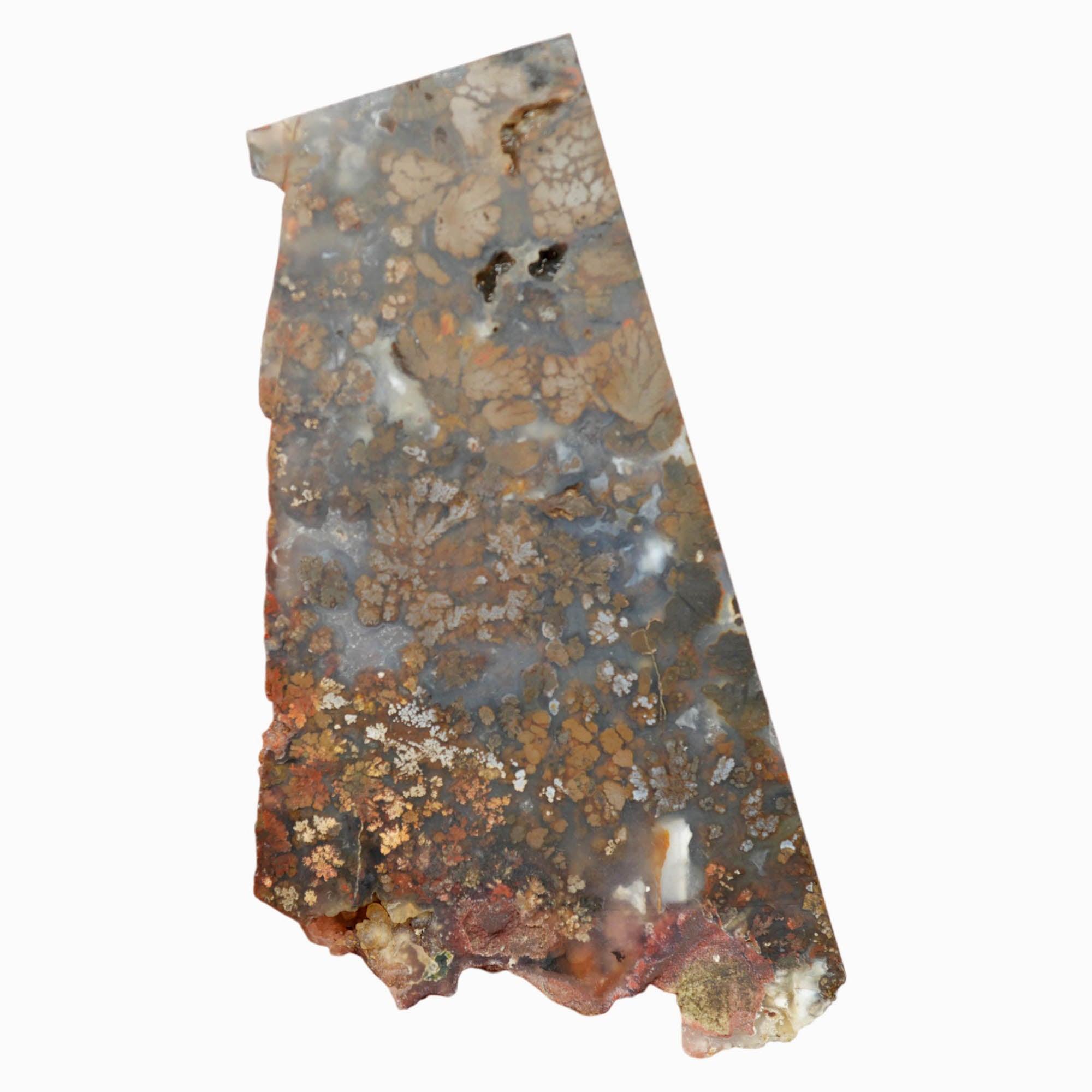 Powell Butte Plume Agate Slab Dry – Black White Plume Blue Matrix #4025-6