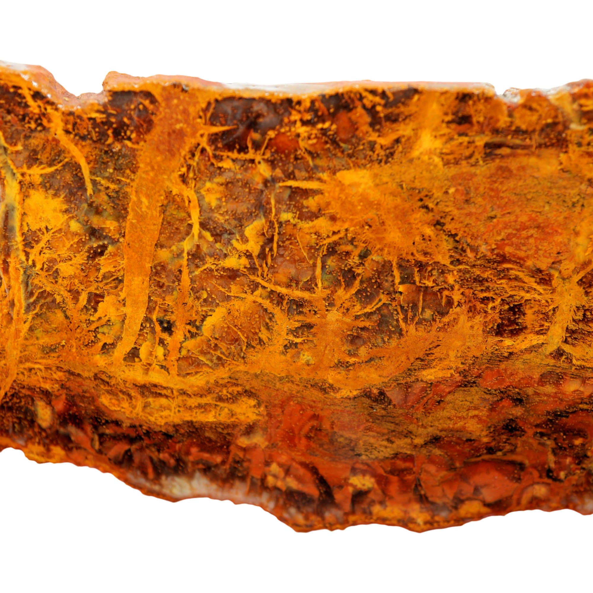 Madagascar Petrified Wood Slab - Orange Lightning Strike Pattern #4028-Photo3