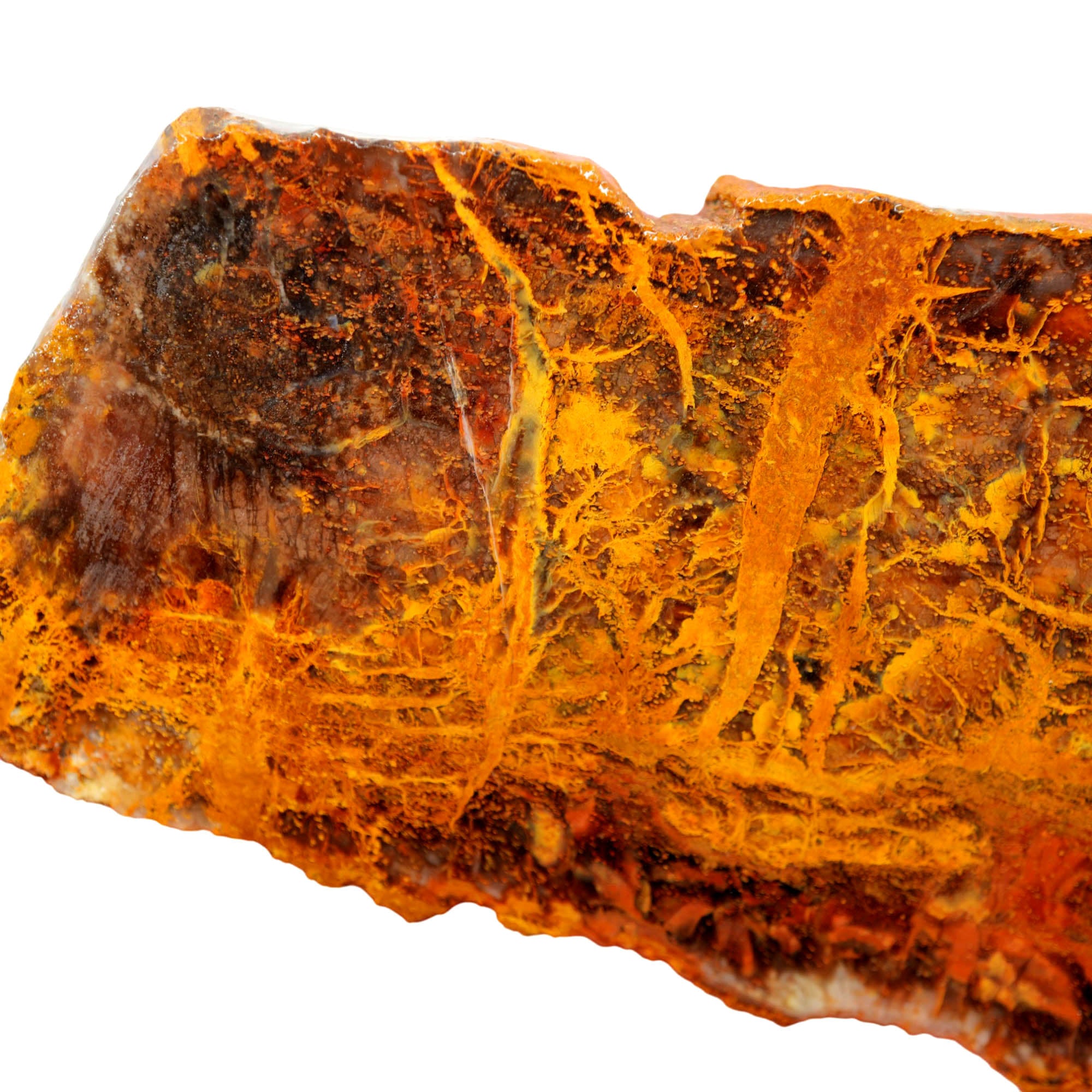 Madagascar Petrified Wood Slab - Orange Lightning Strike Pattern #4028-Photo4