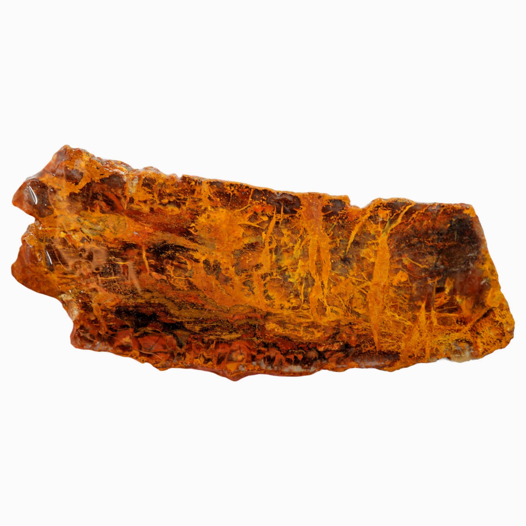 Madagascar Petrified Wood Slab - Orange Lightning Strike Pattern #4028-Photo5