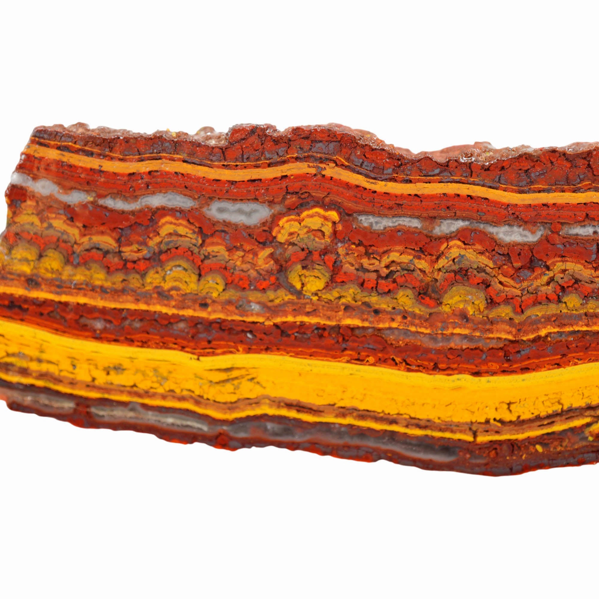Apple Valley Jasper Slab - Gold Stromatolite Waves Sparkle #4029-Photo3