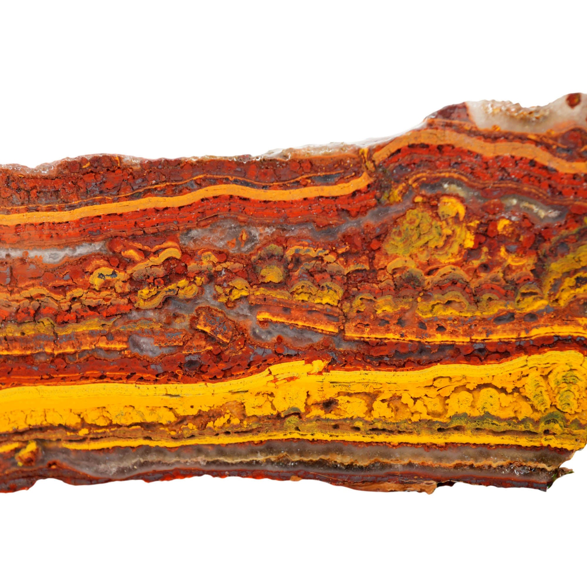 Apple Valley Jasper Slab - Gold Stromatolite Waves Sparkle #4029-Photo4