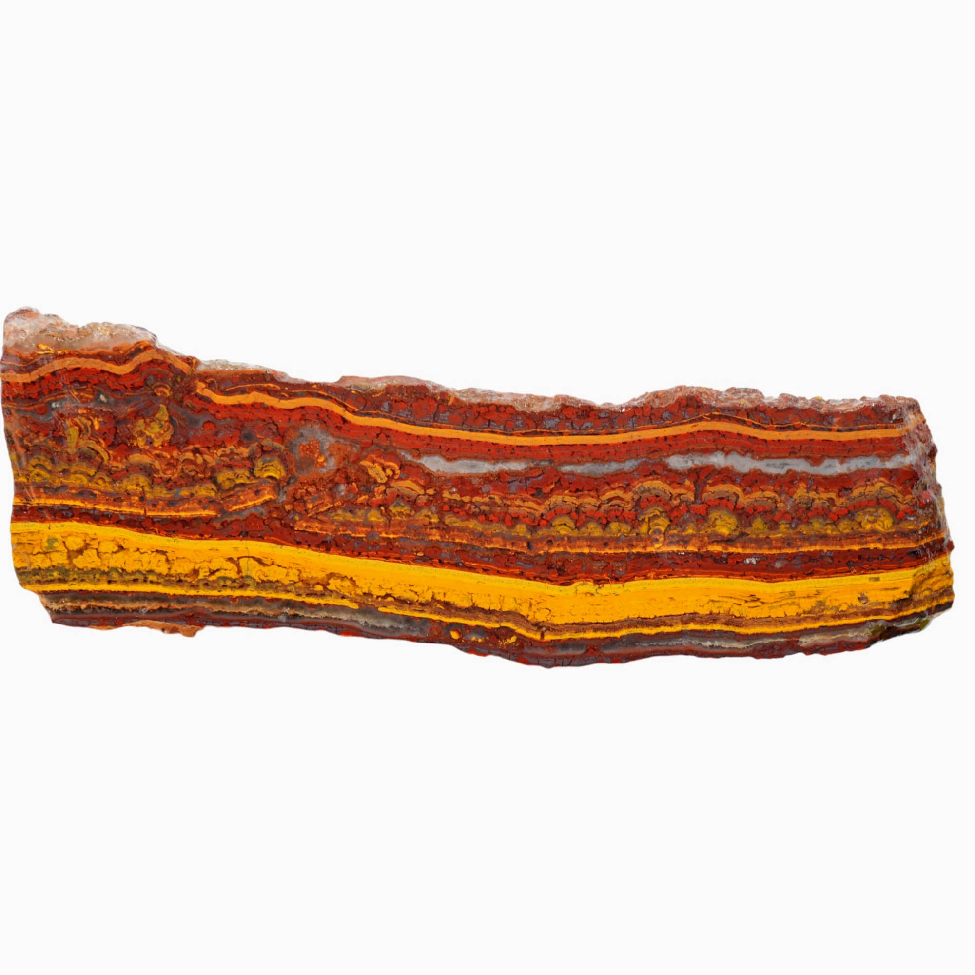 Apple Valley Jasper Slab - Gold Stromatolite Waves Sparkle #4029-Photo5
