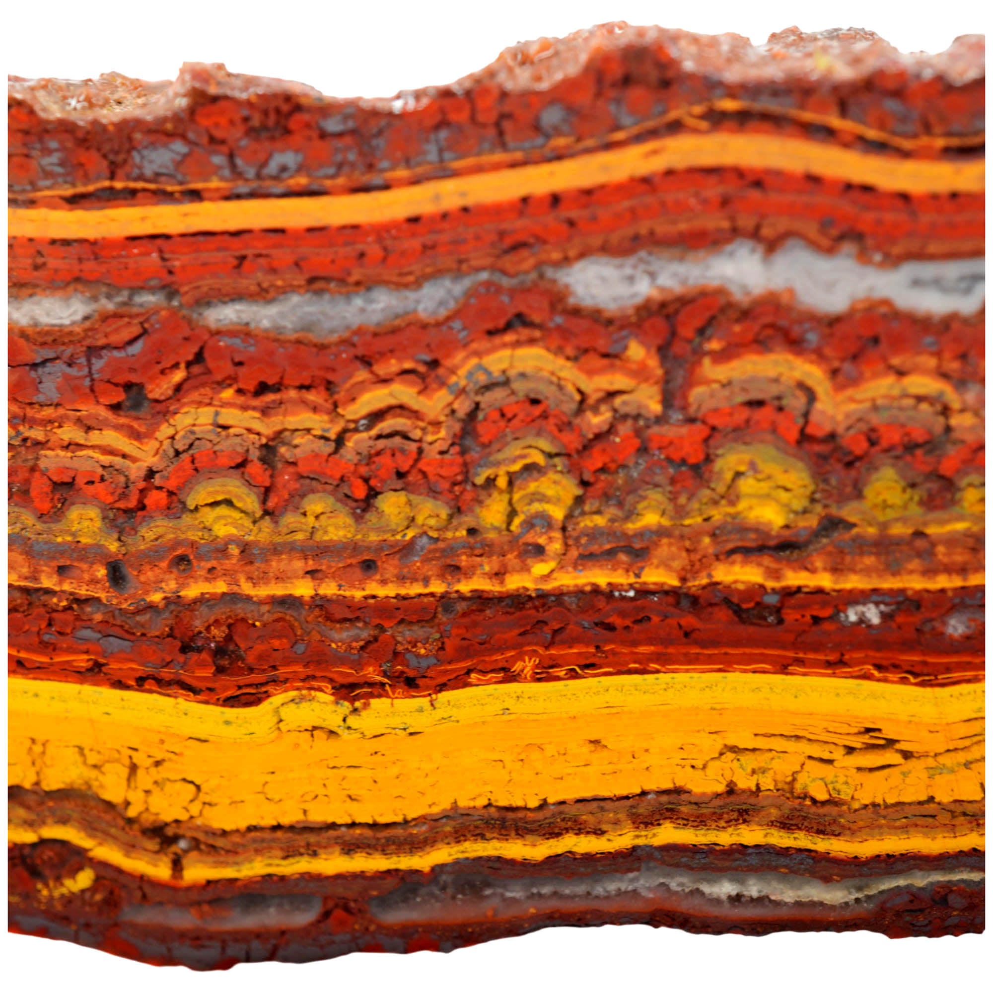 Apple Valley Jasper Slab - Gold Stromatolite Waves Sparkle #4029-Photo6