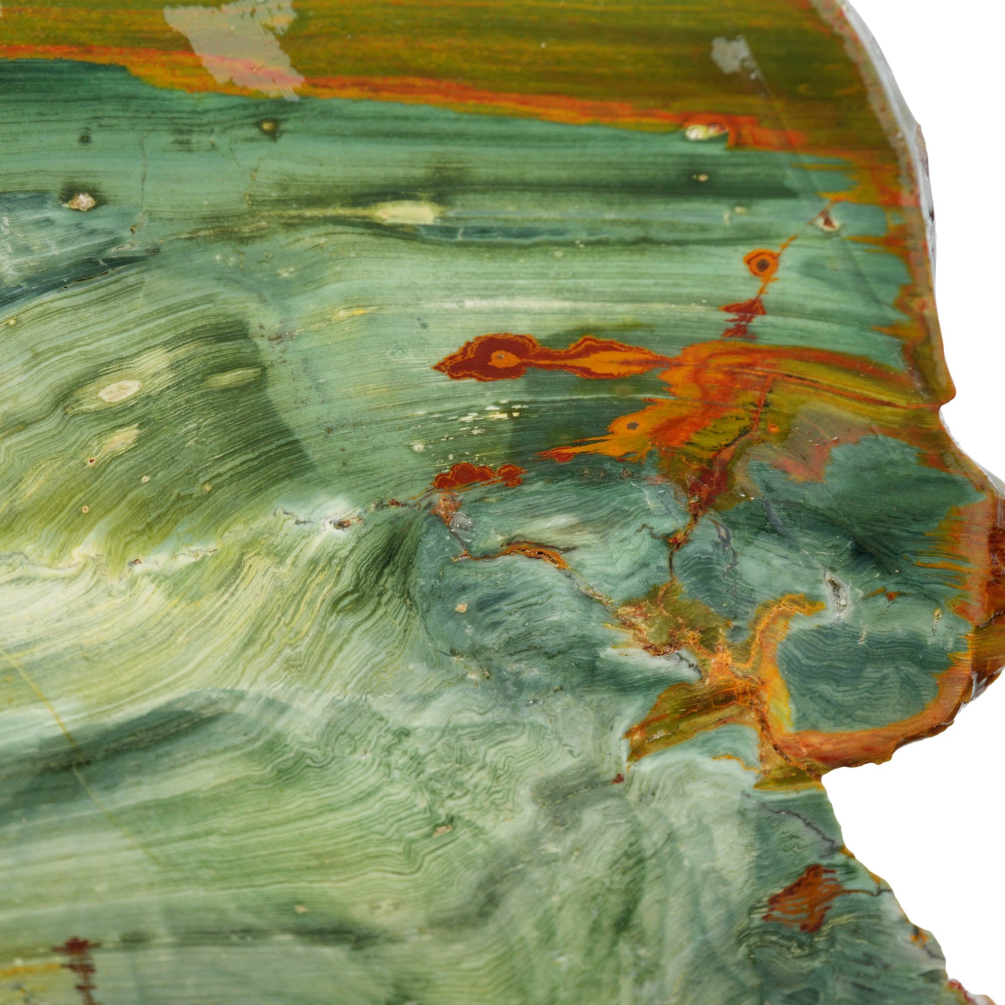 Gary Green Jasper Slab - Rare Elipsio Orbs with Red Dendrites