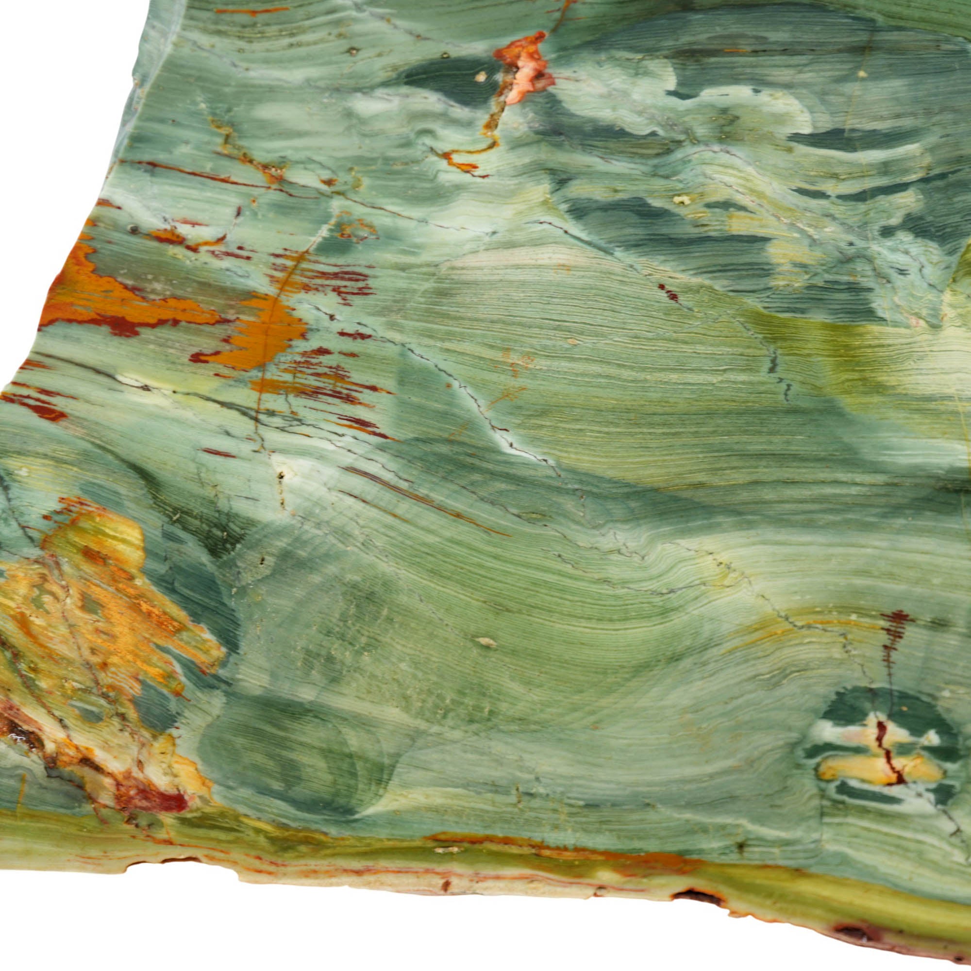 Gary Green Jasper Slab - Rare Elipsio Orbs with Red Dendrites