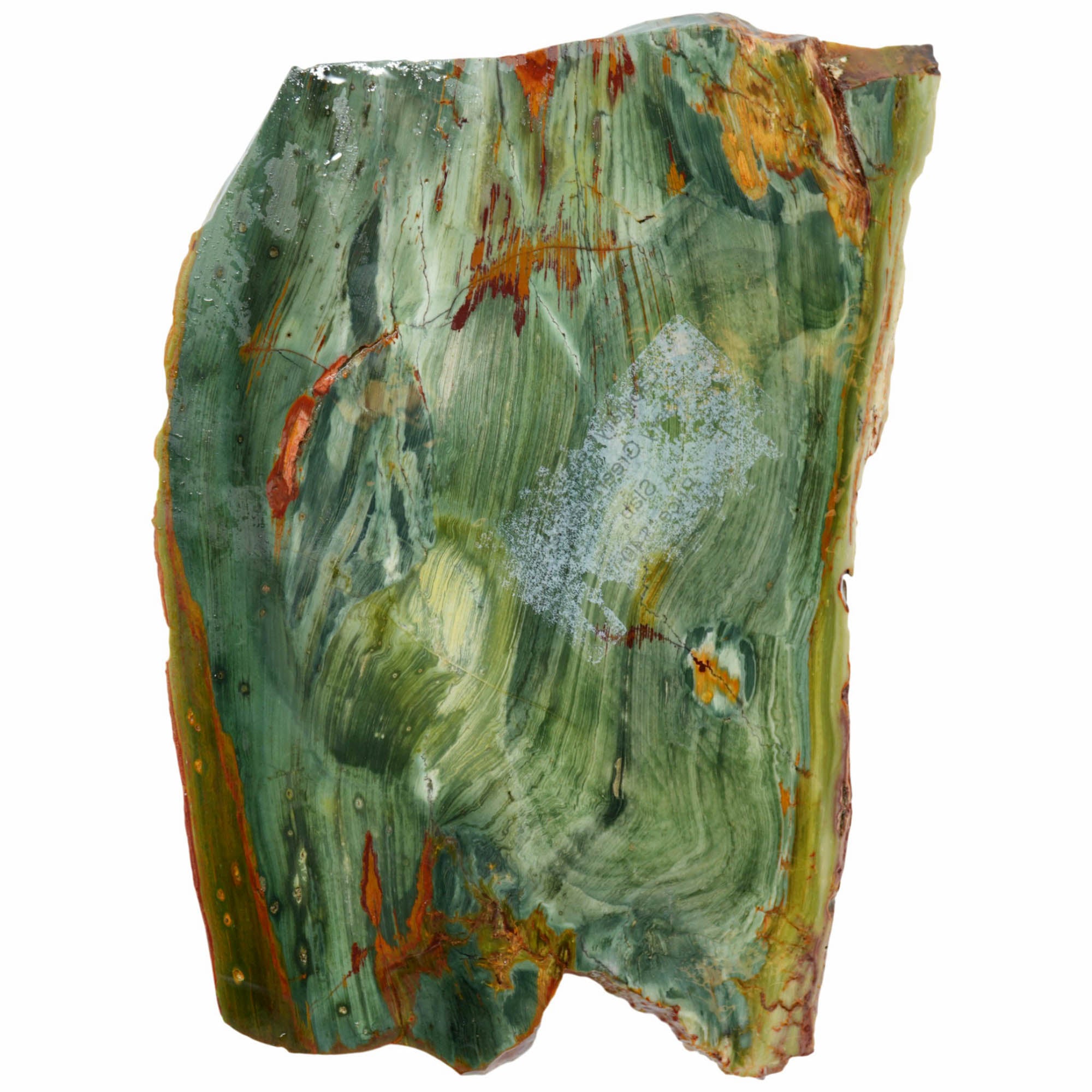 Gary Green Jasper Slab - Rare Elipsio Orbs with Red Dendrites